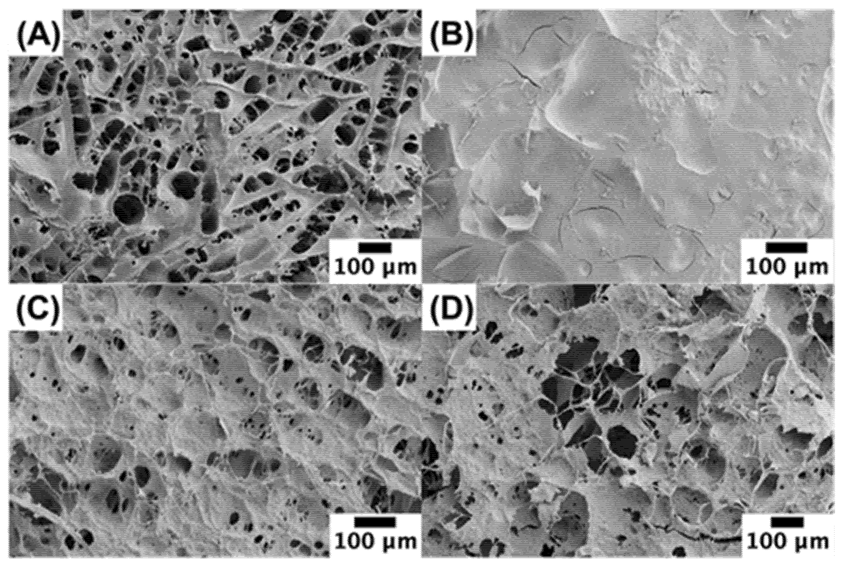 Foods 11 00851 g006 550