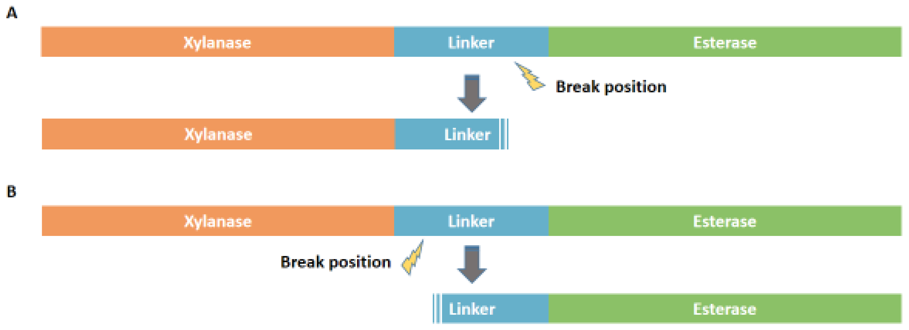Foods 11 00862 g005 Foods 11 00862 g005