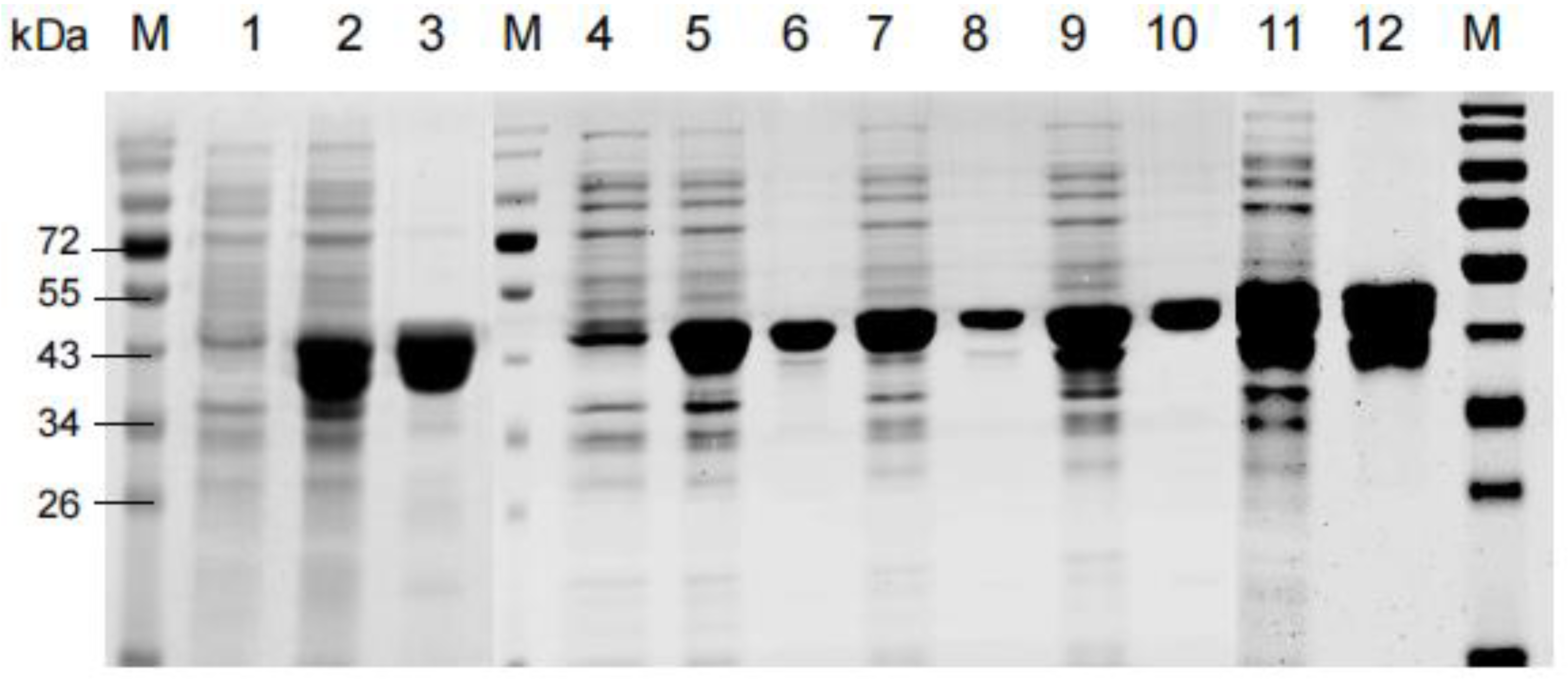 Foods 11 00862 g006 Foods 11 00862 g006