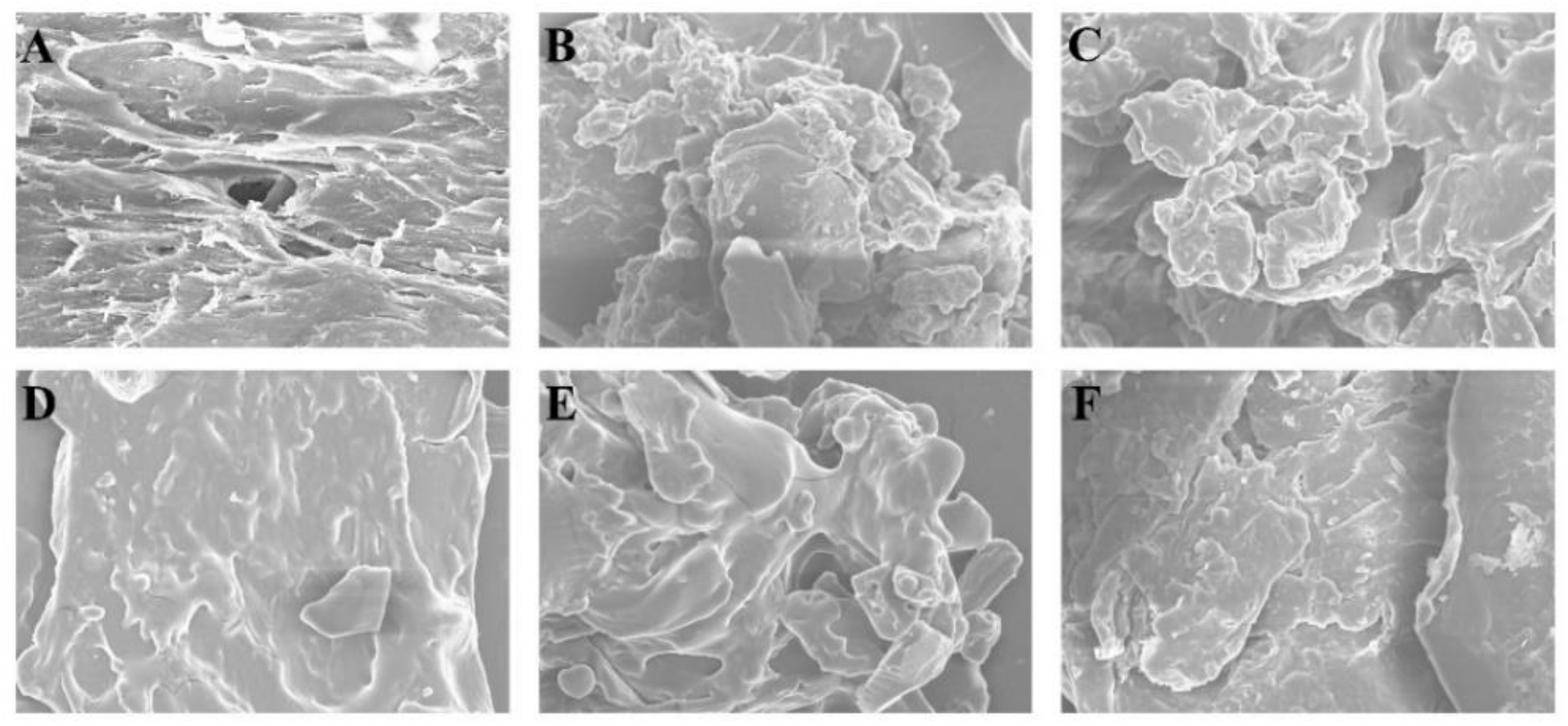 Foods 11 00874 g008 550