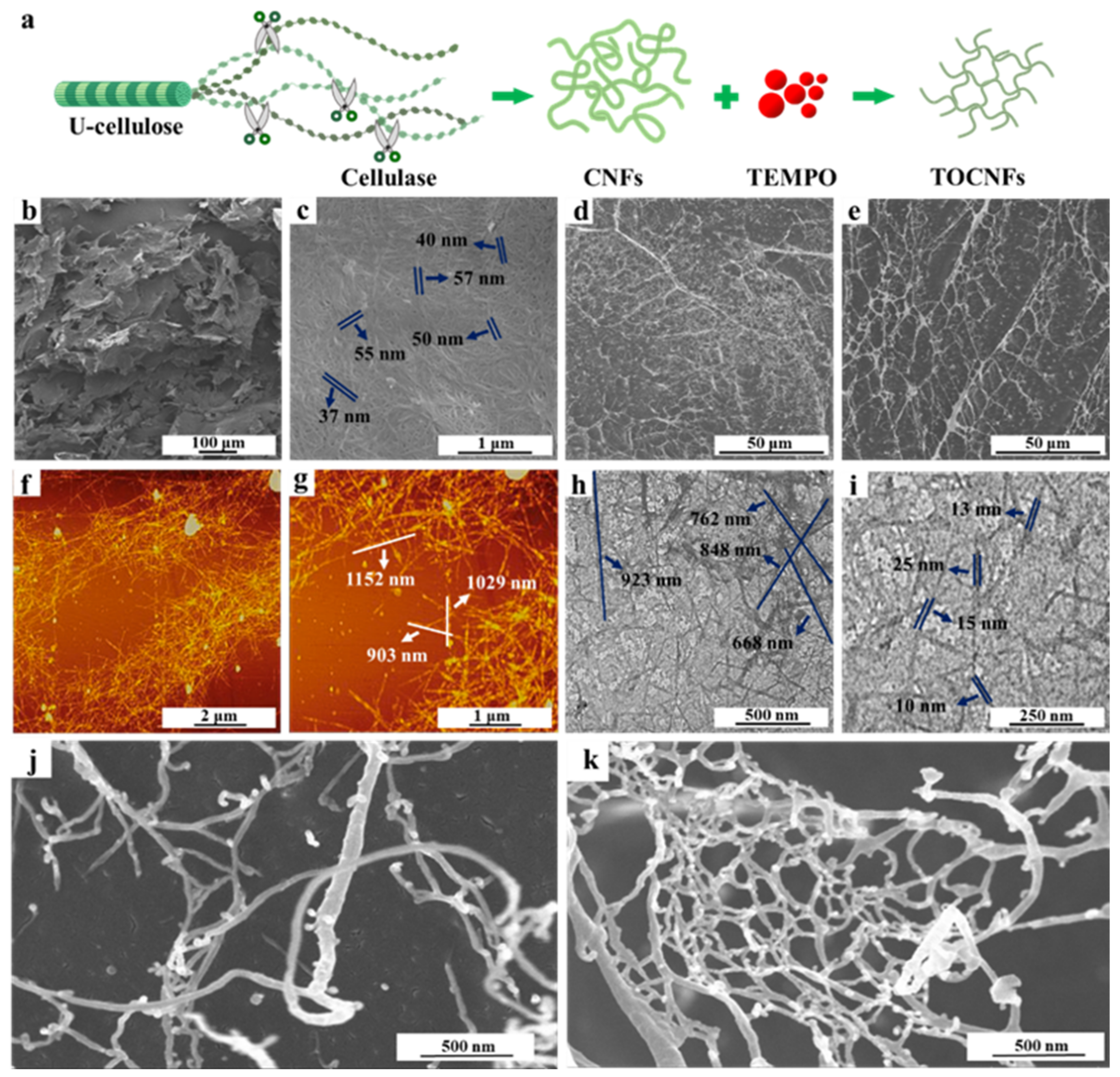 Foods 11 00876 g001 Foods 11 00876 g001