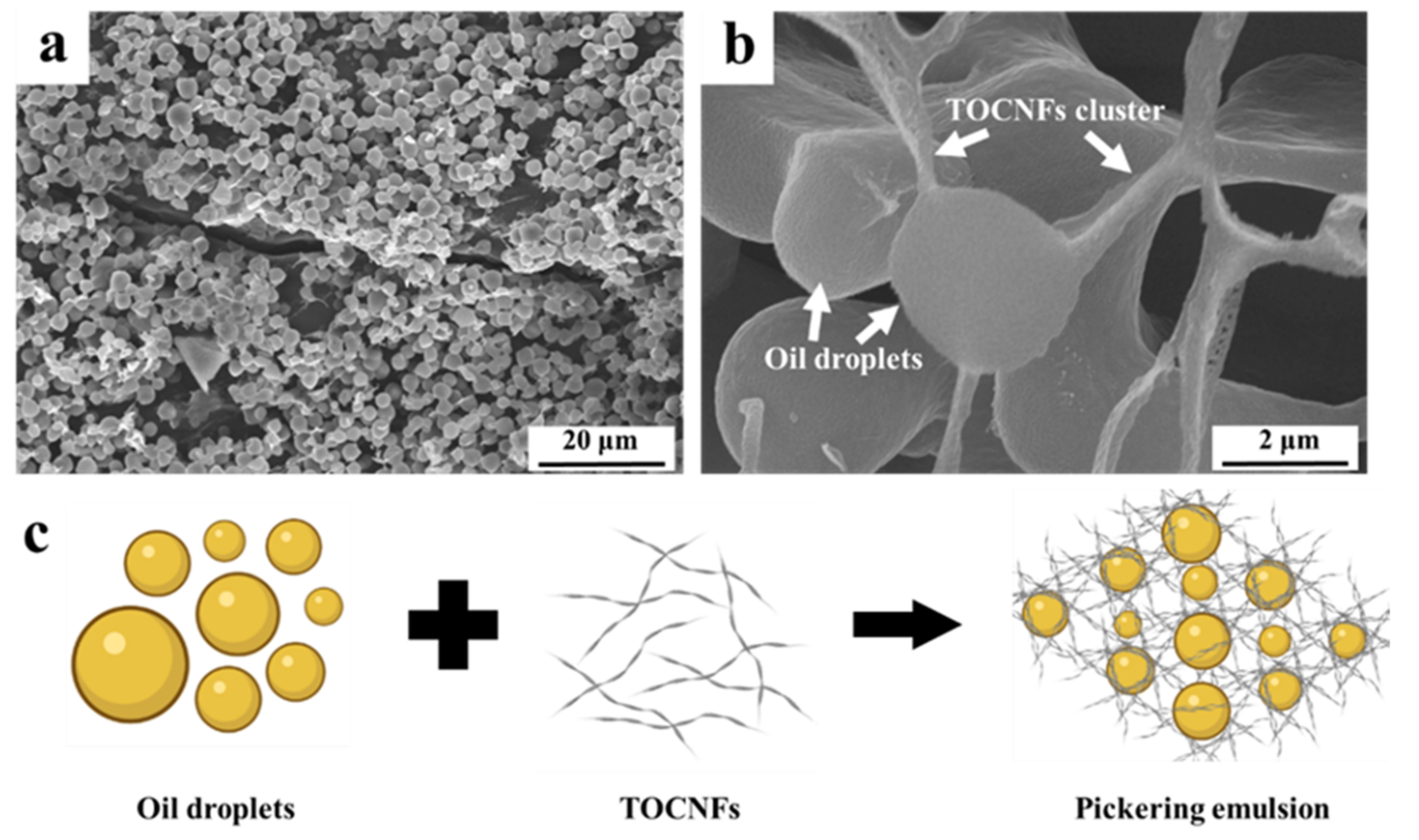 Foods 11 00876 g007 Foods 11 00876 g007