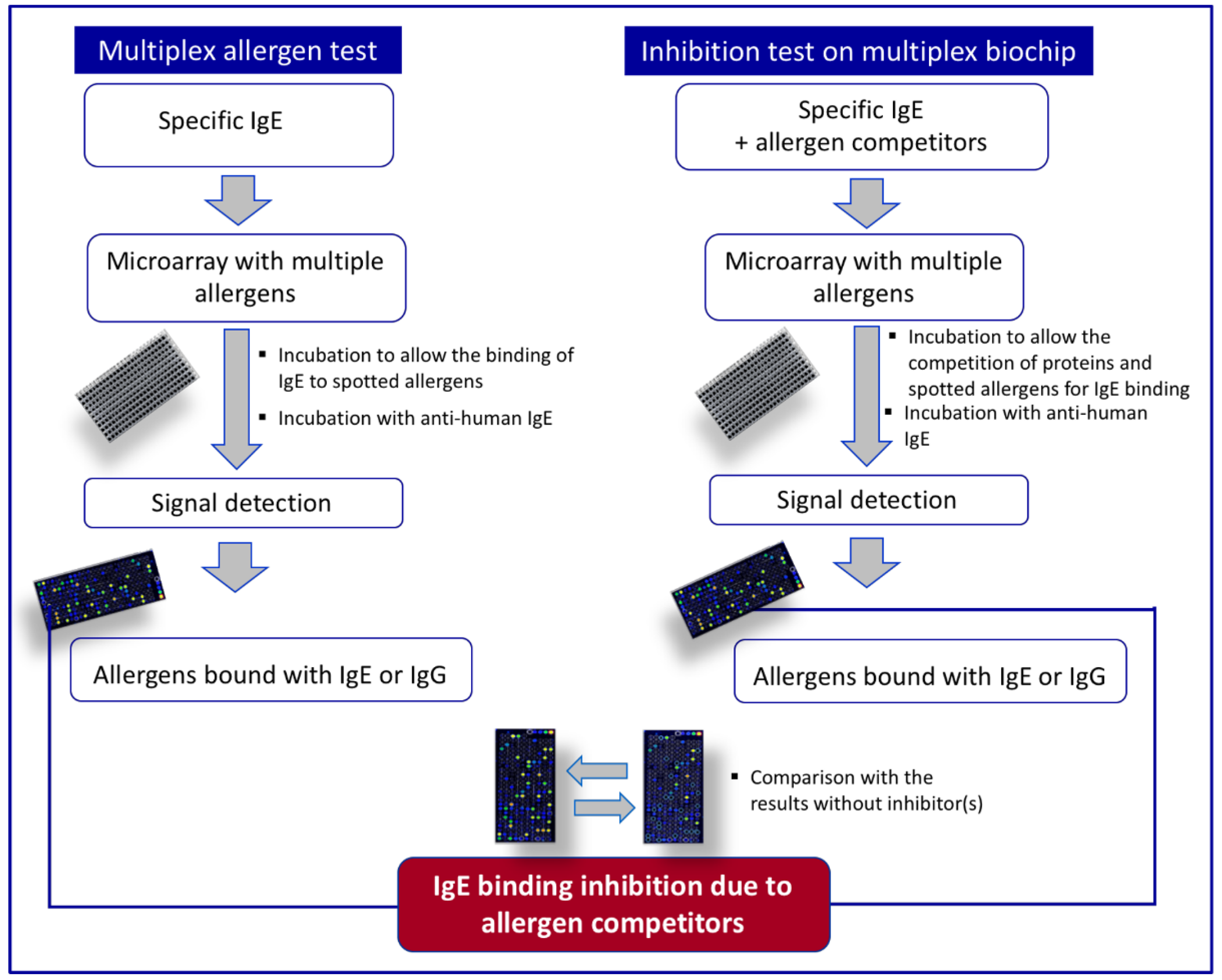 Foods 11 00878 g001 550