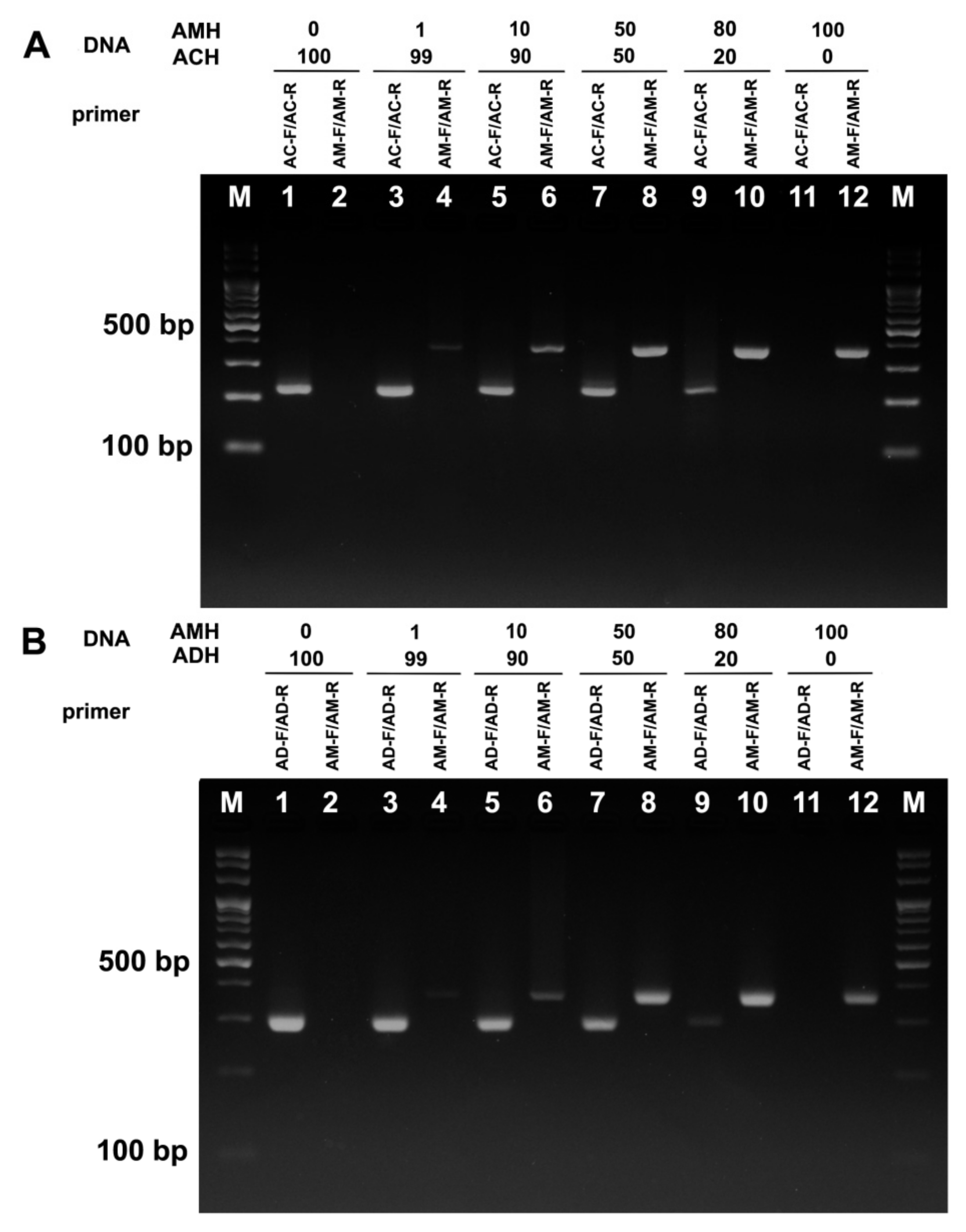 Foods 11 00928 g004 Foods 11 00928 g004