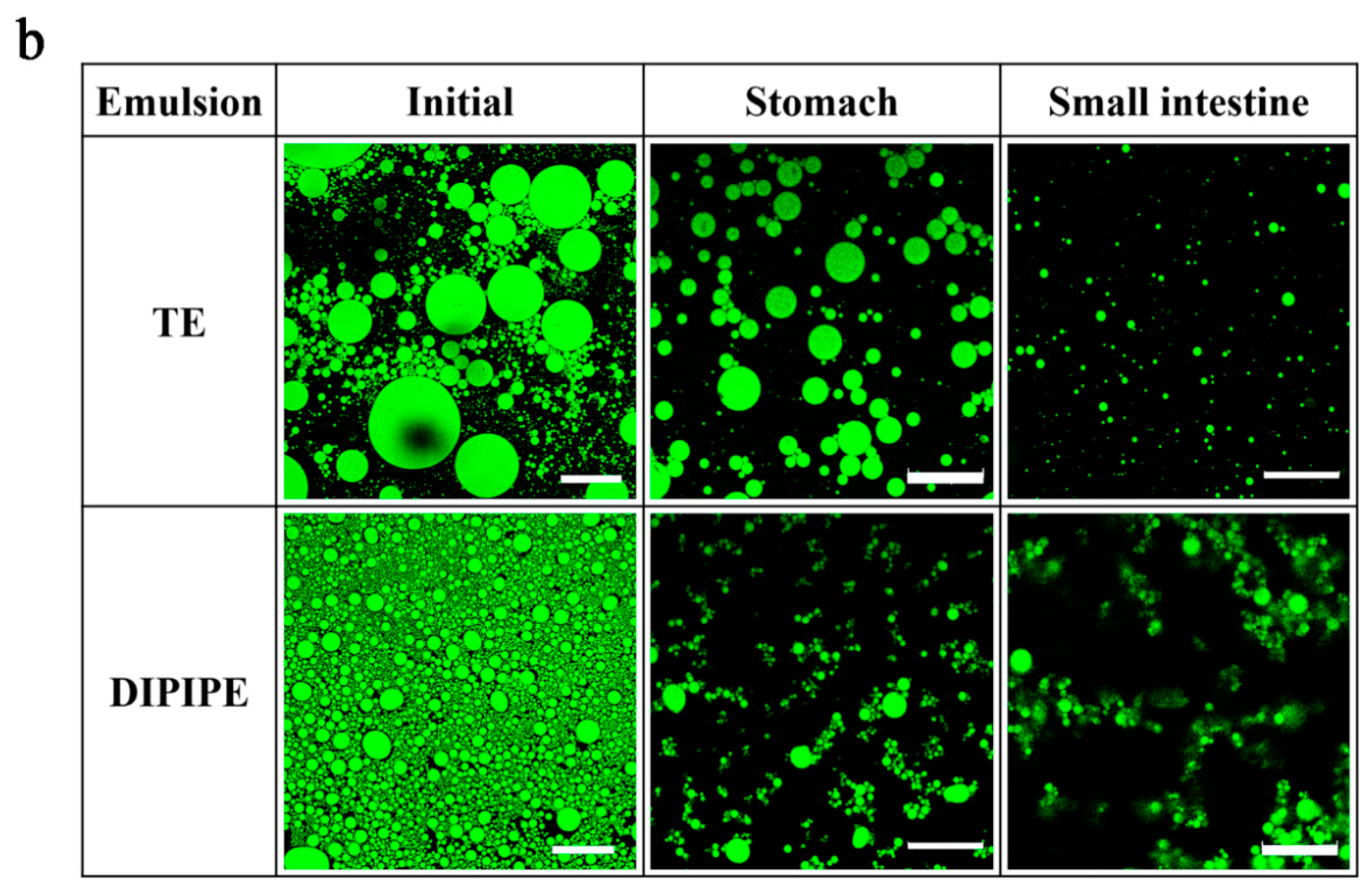 Foods 11 00936 g002b 550
