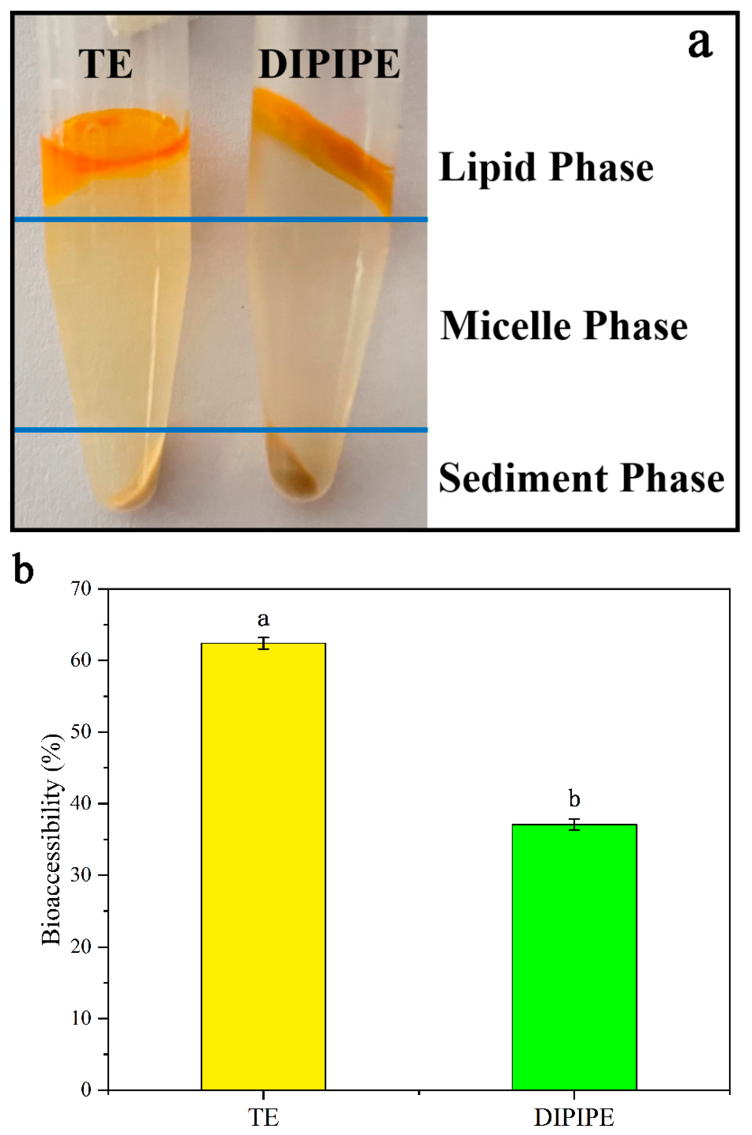 Foods 11 00936 g003 550