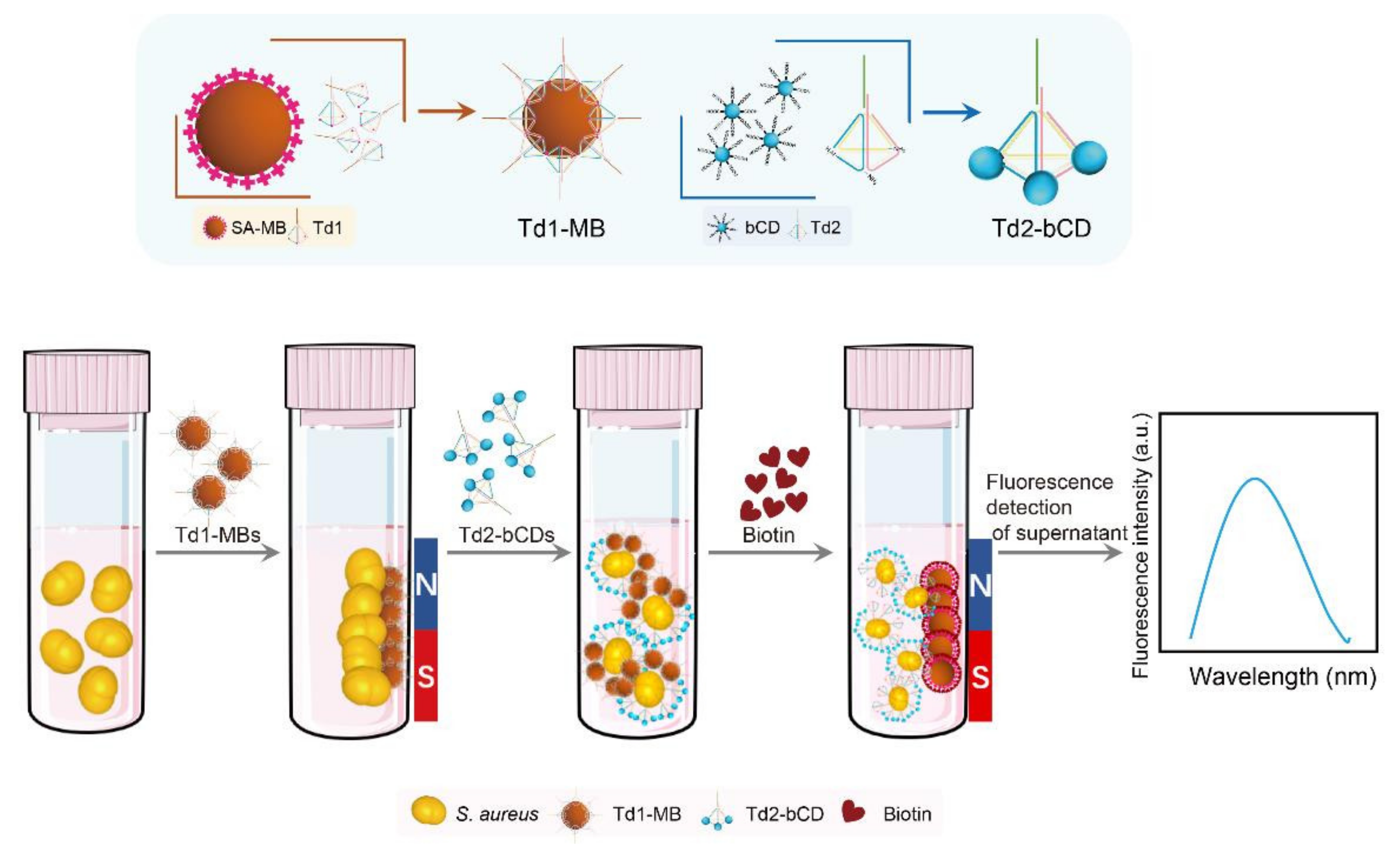 Foods 11 00945 sch001