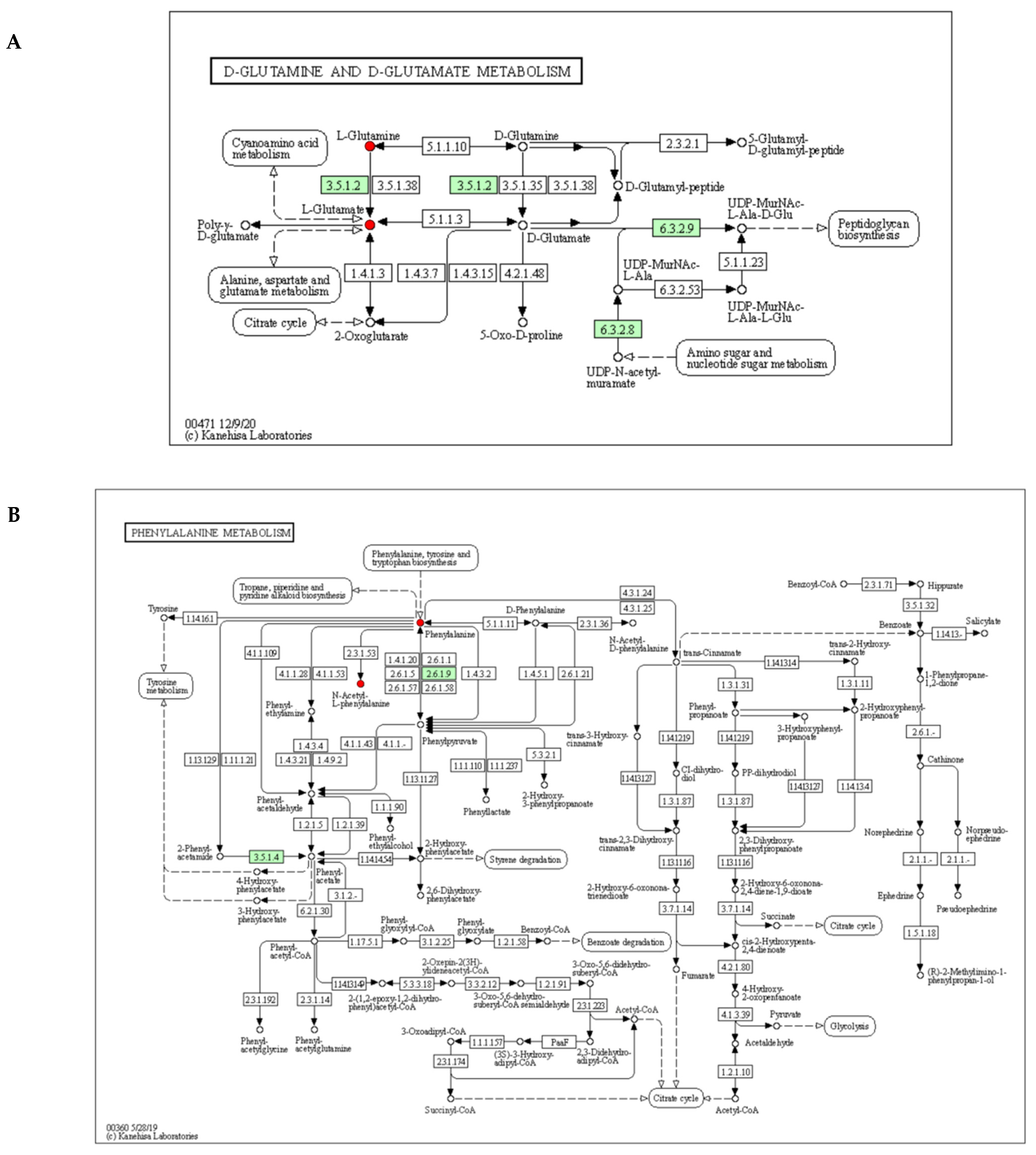 Foods 11 00966 g008 550
