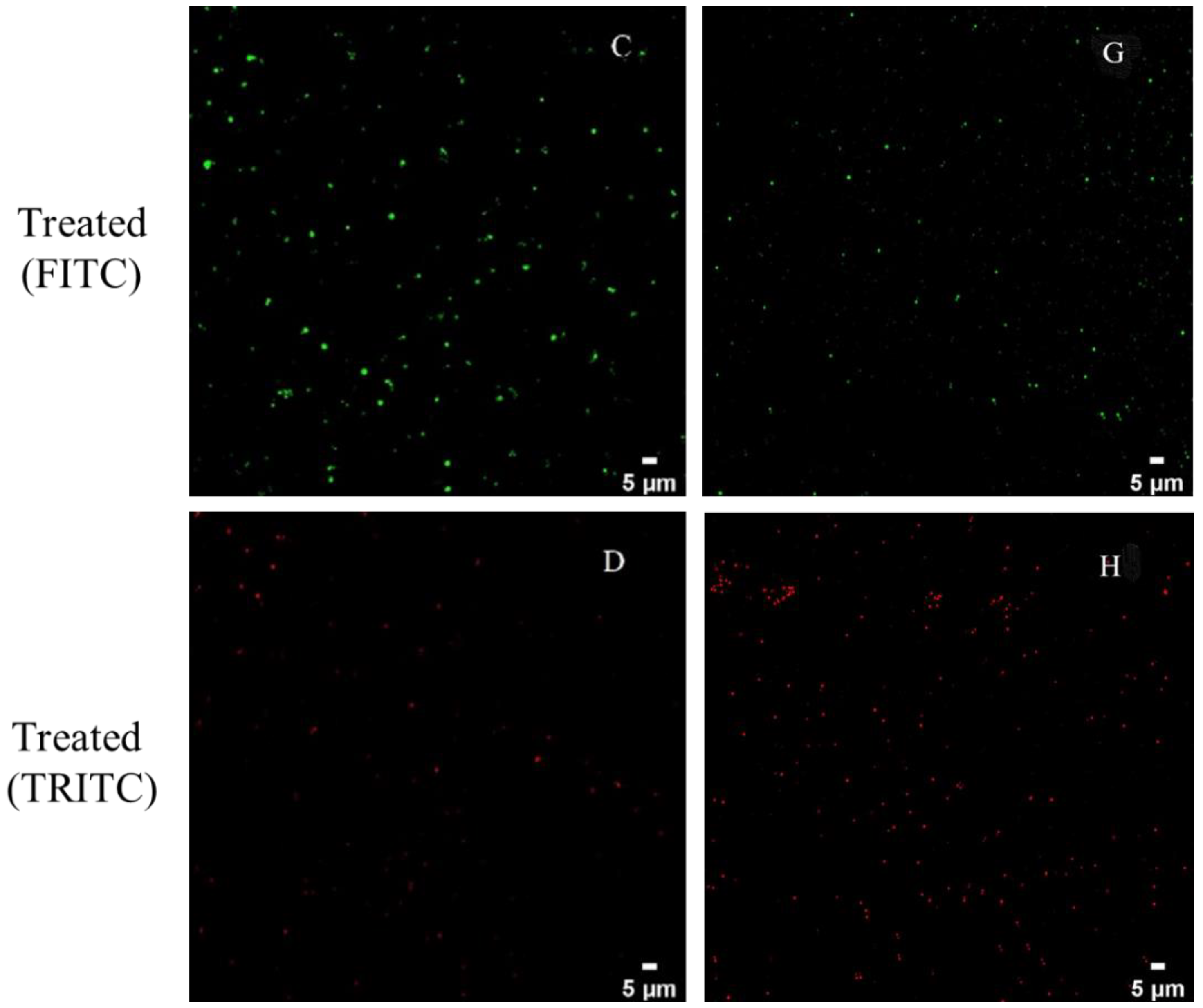 Foods 11 00996 g003b Foods 11 00996 g003b