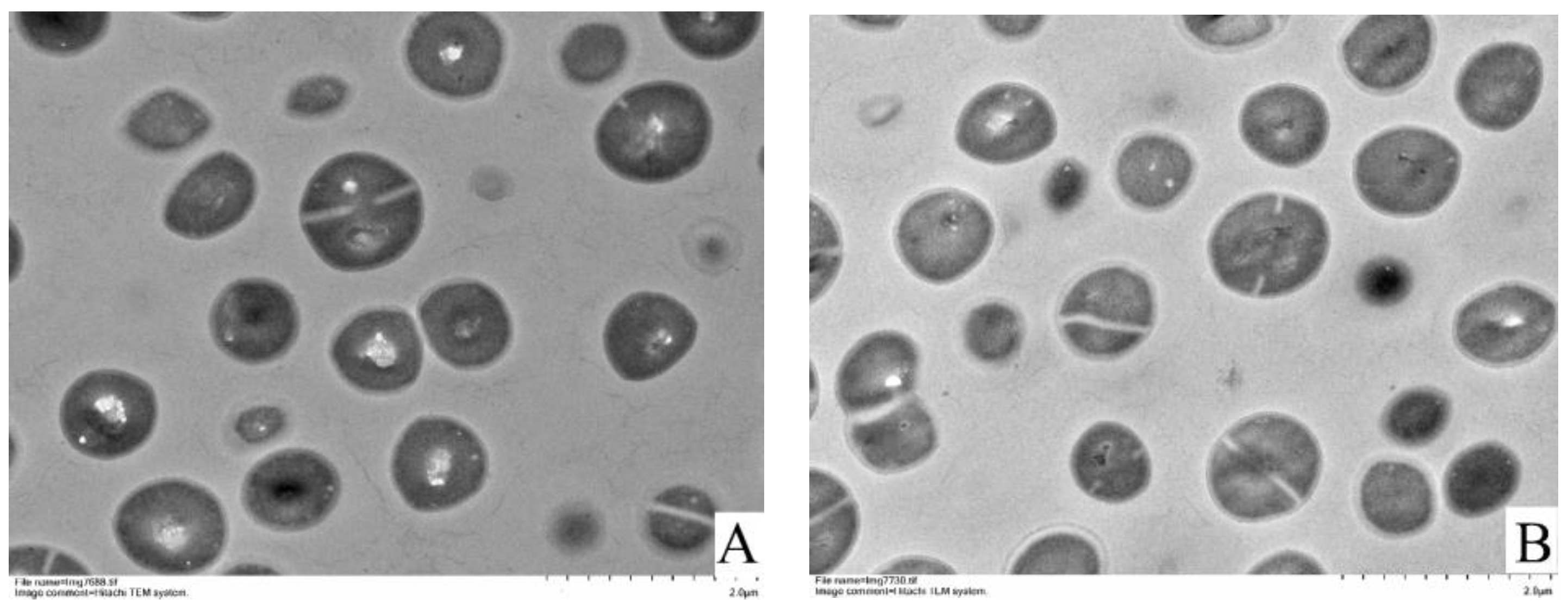 Foods 11 00996 g004a Foods 11 00996 g004a