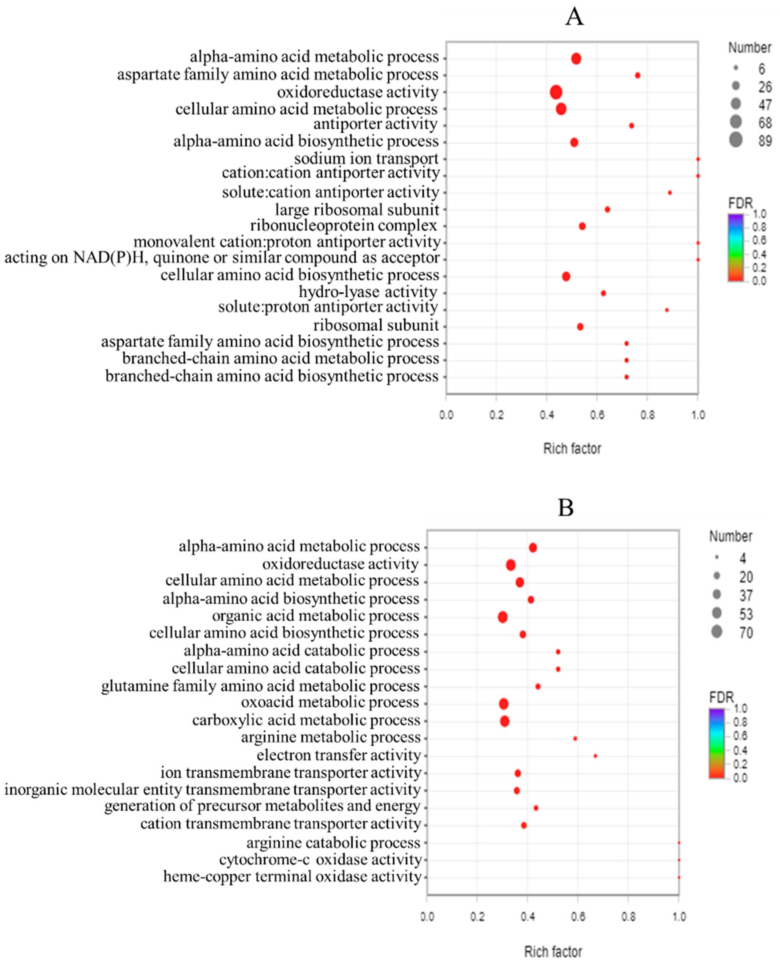 Foods 11 00996 g007 Foods 11 00996 g007