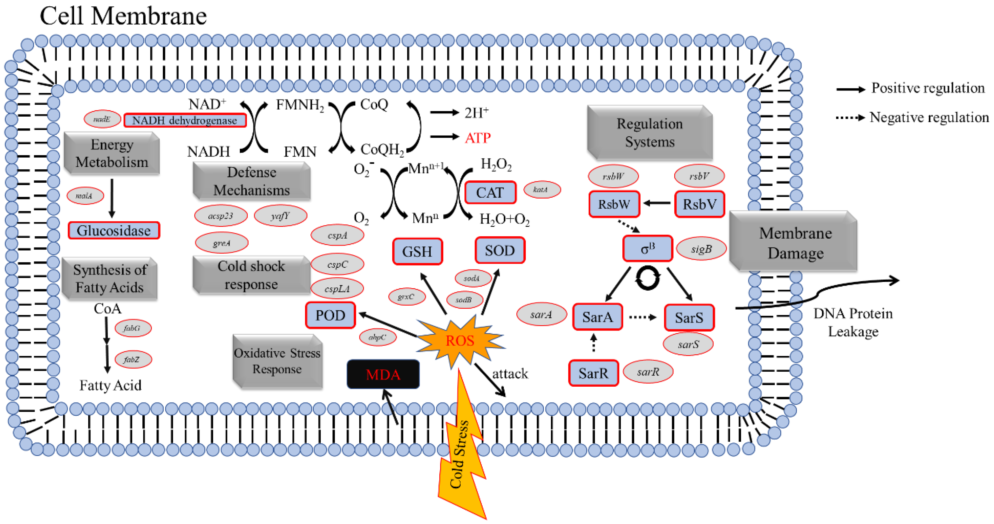 Foods 11 00996 g010 Foods 11 00996 g010