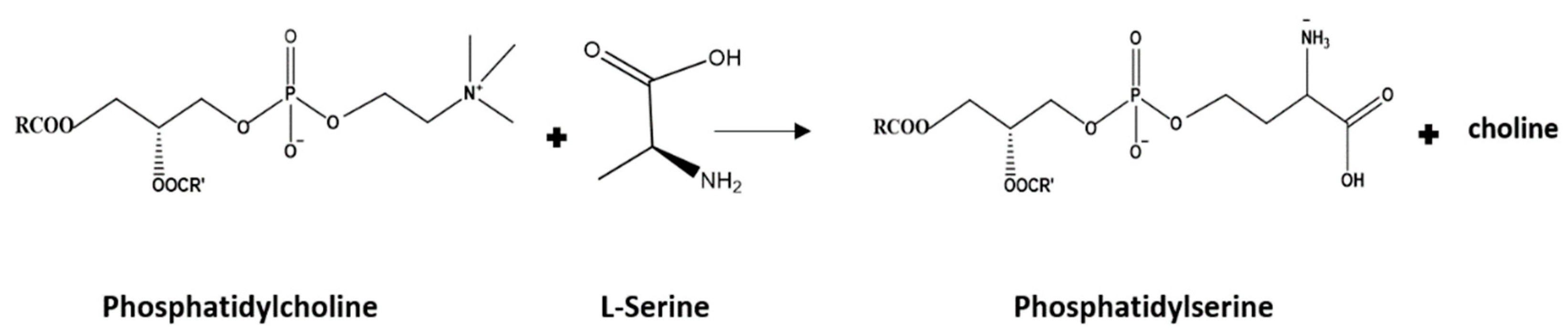 Foods 11 01014 g001 550