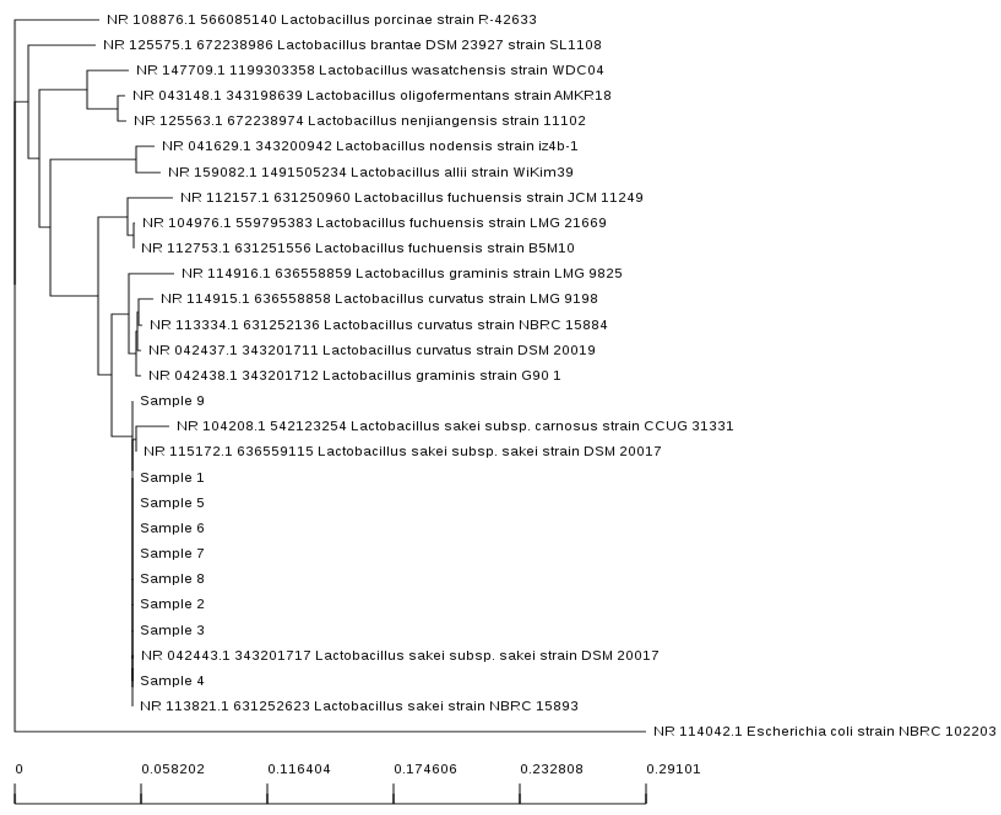 Foods 11 01020 g002 550