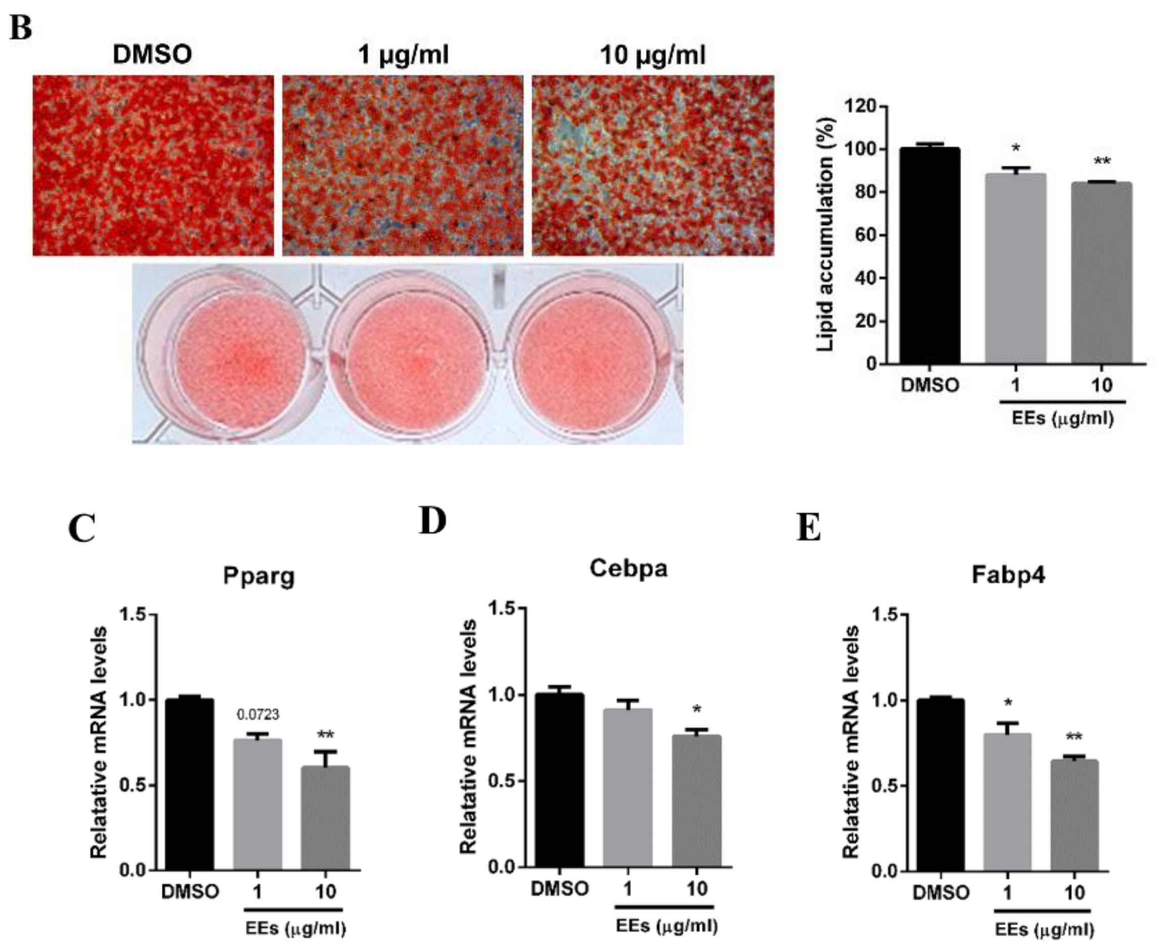 Foods 11 01028 g001b 550