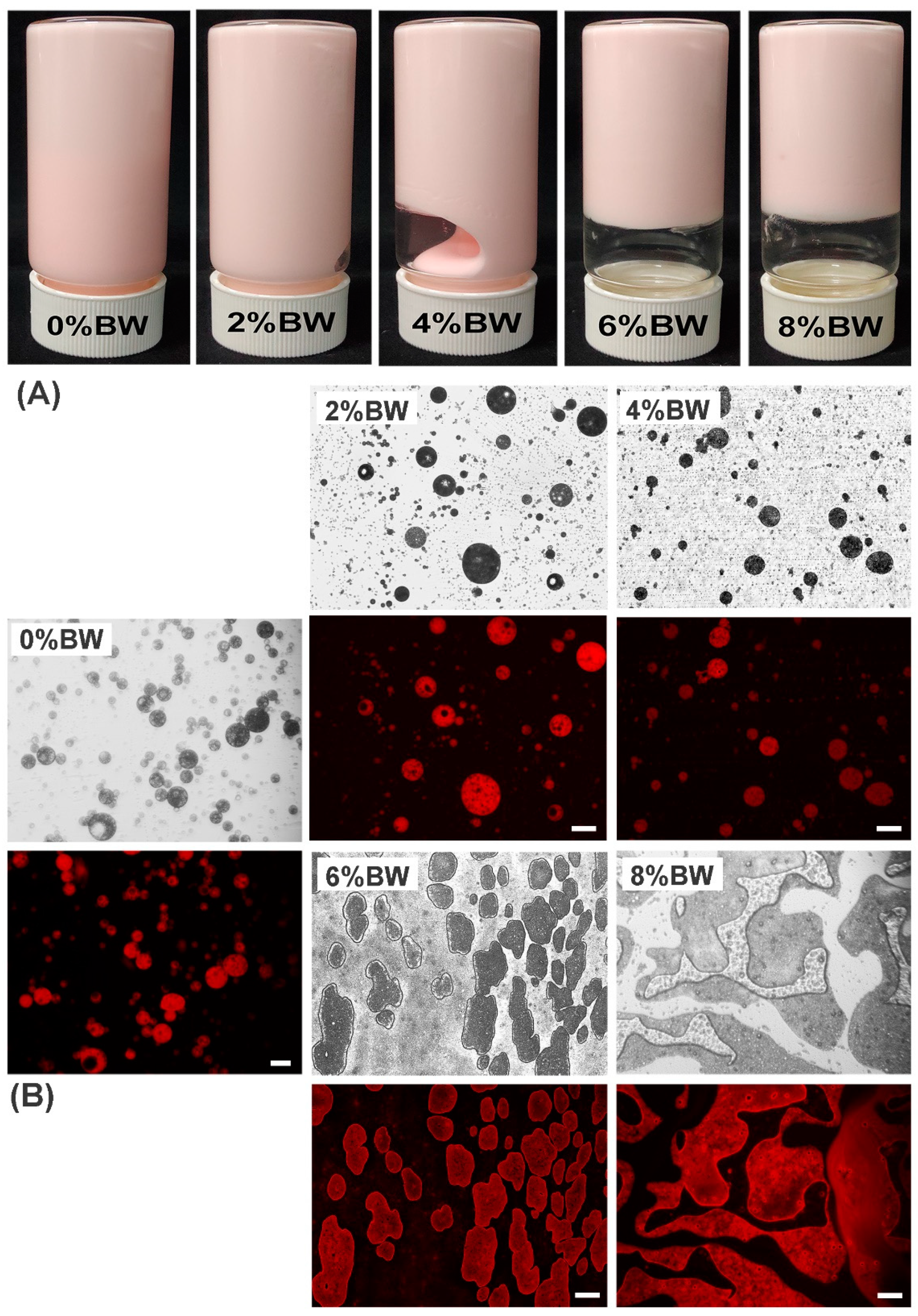 Foods 11 01039 g001 Foods 11 01039 g001