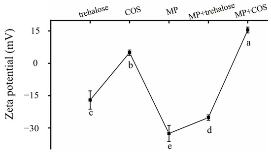 Myofibrillar Protein Interacting with Trehalose Elevated the