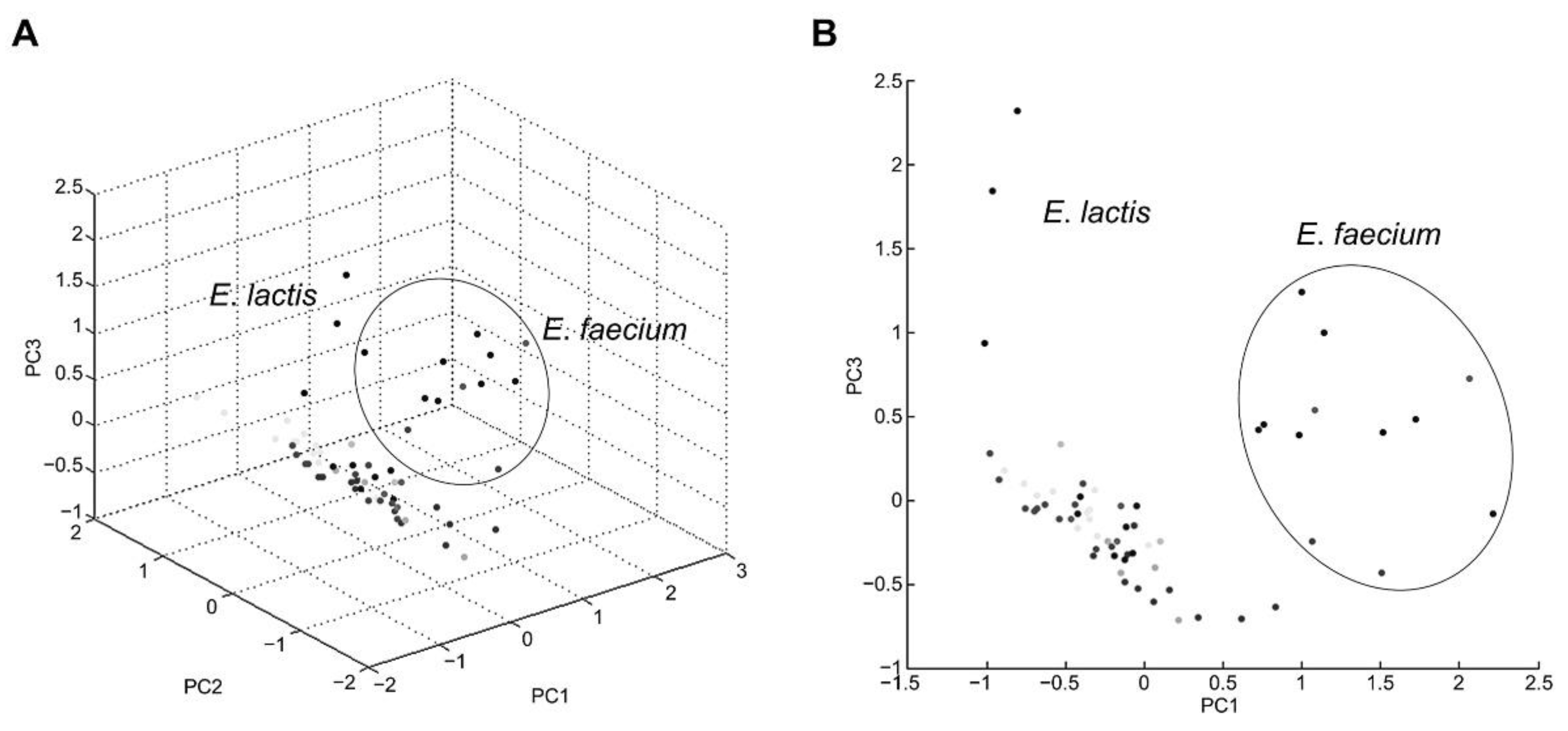 Foods 11 01046 g004 Foods 11 01046 g004