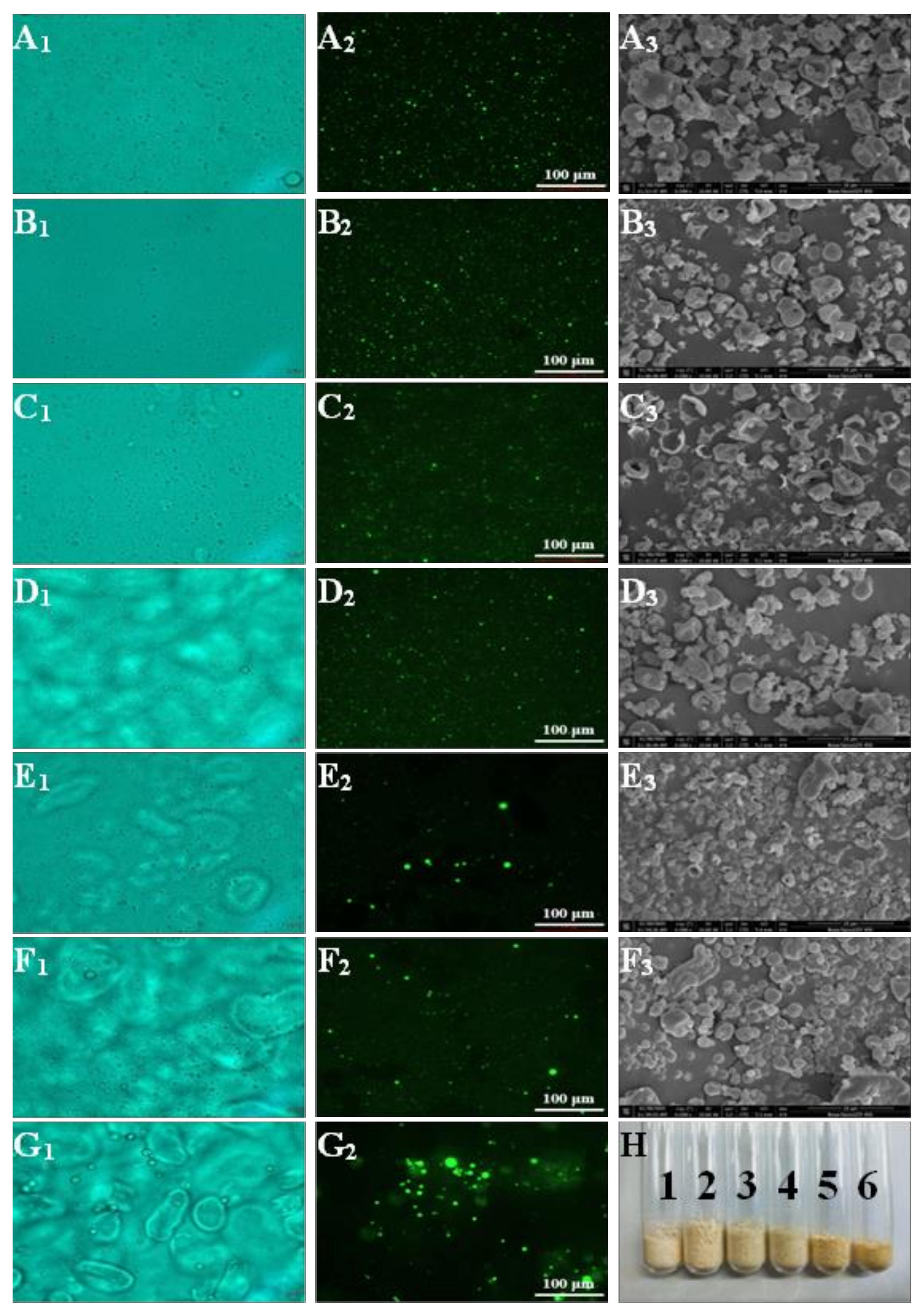 Foods 11 01049 g001 550
