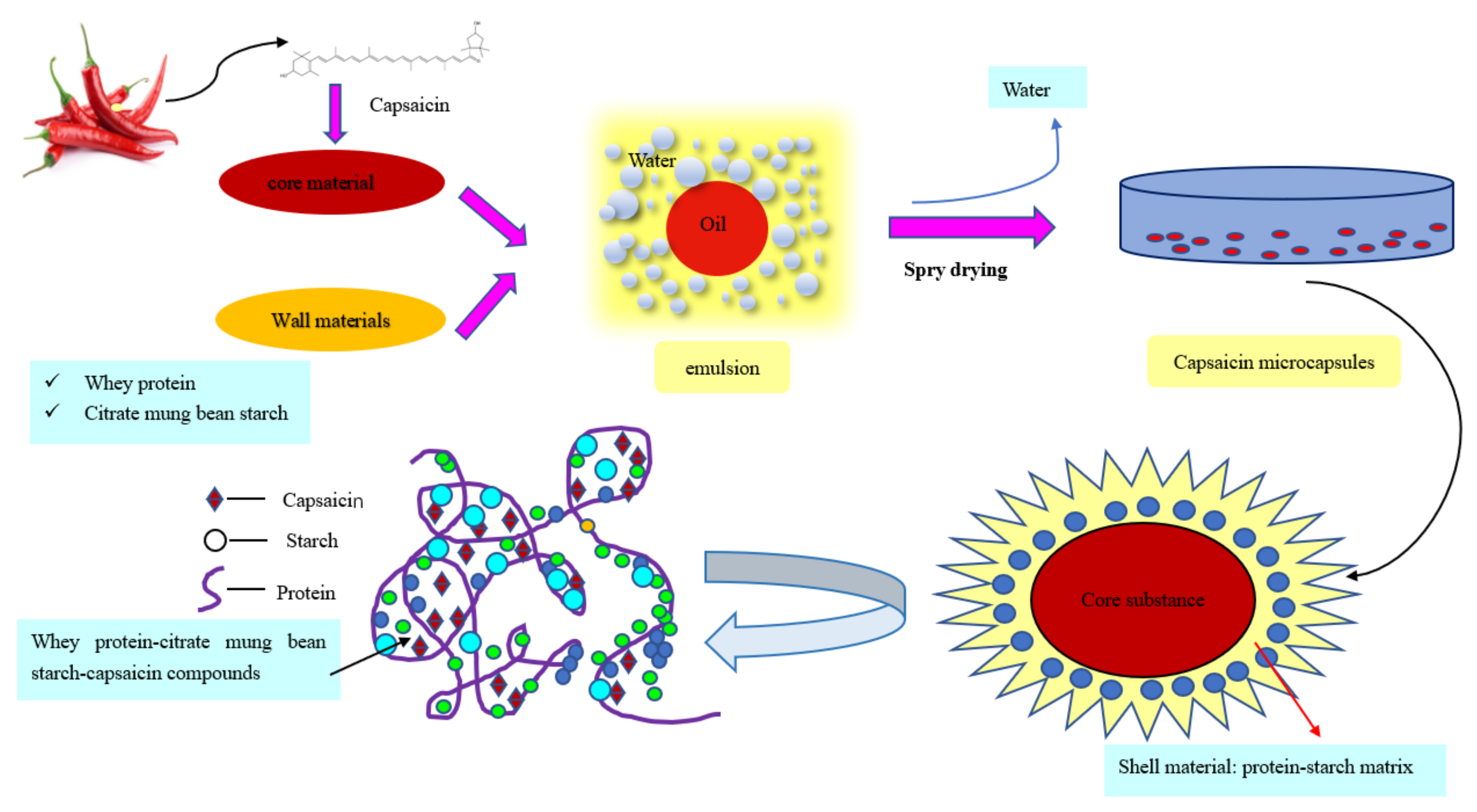 Foods 11 01049 g004 550