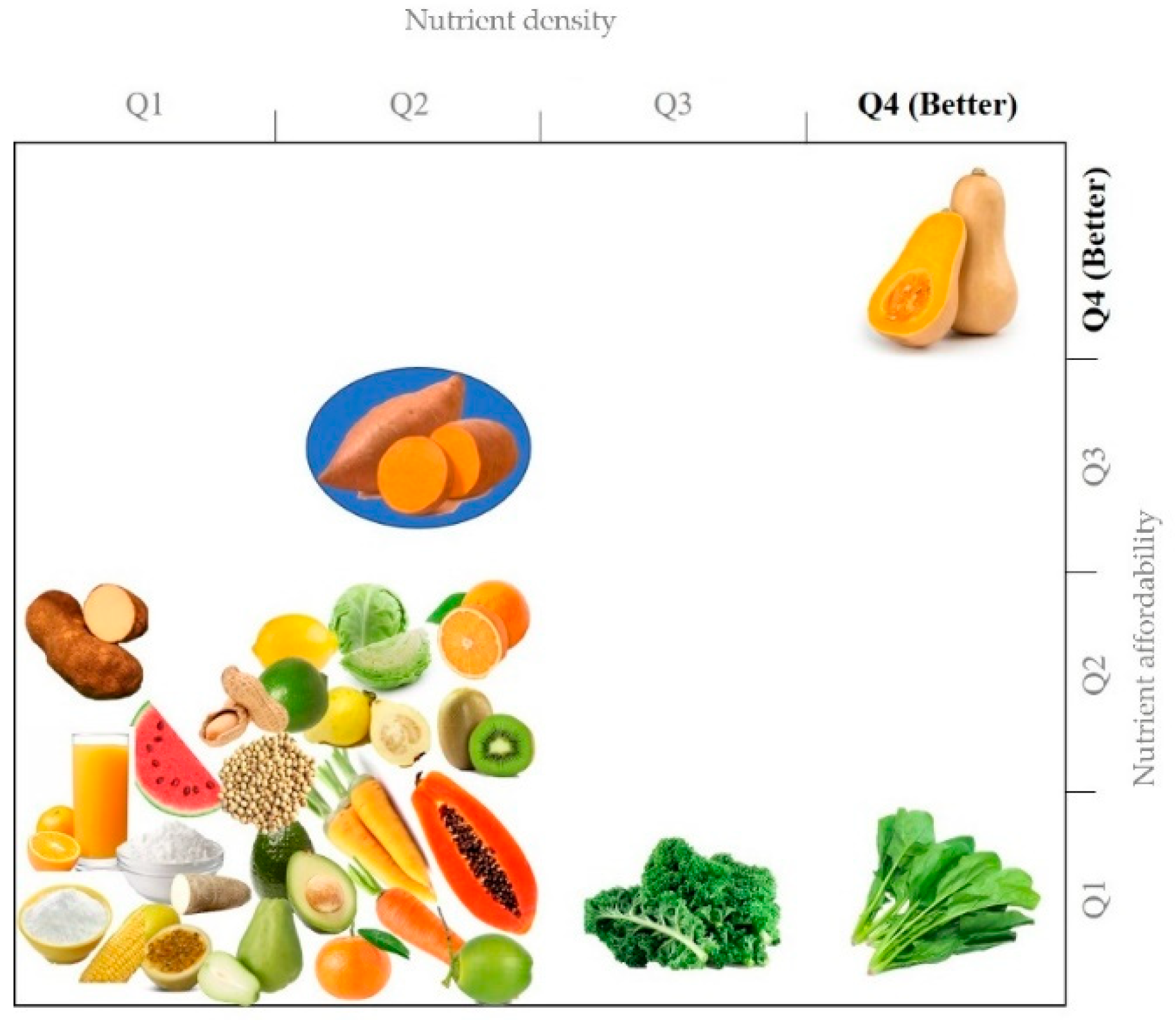 Foods 11 01058 g002 Foods 11 01058 g002