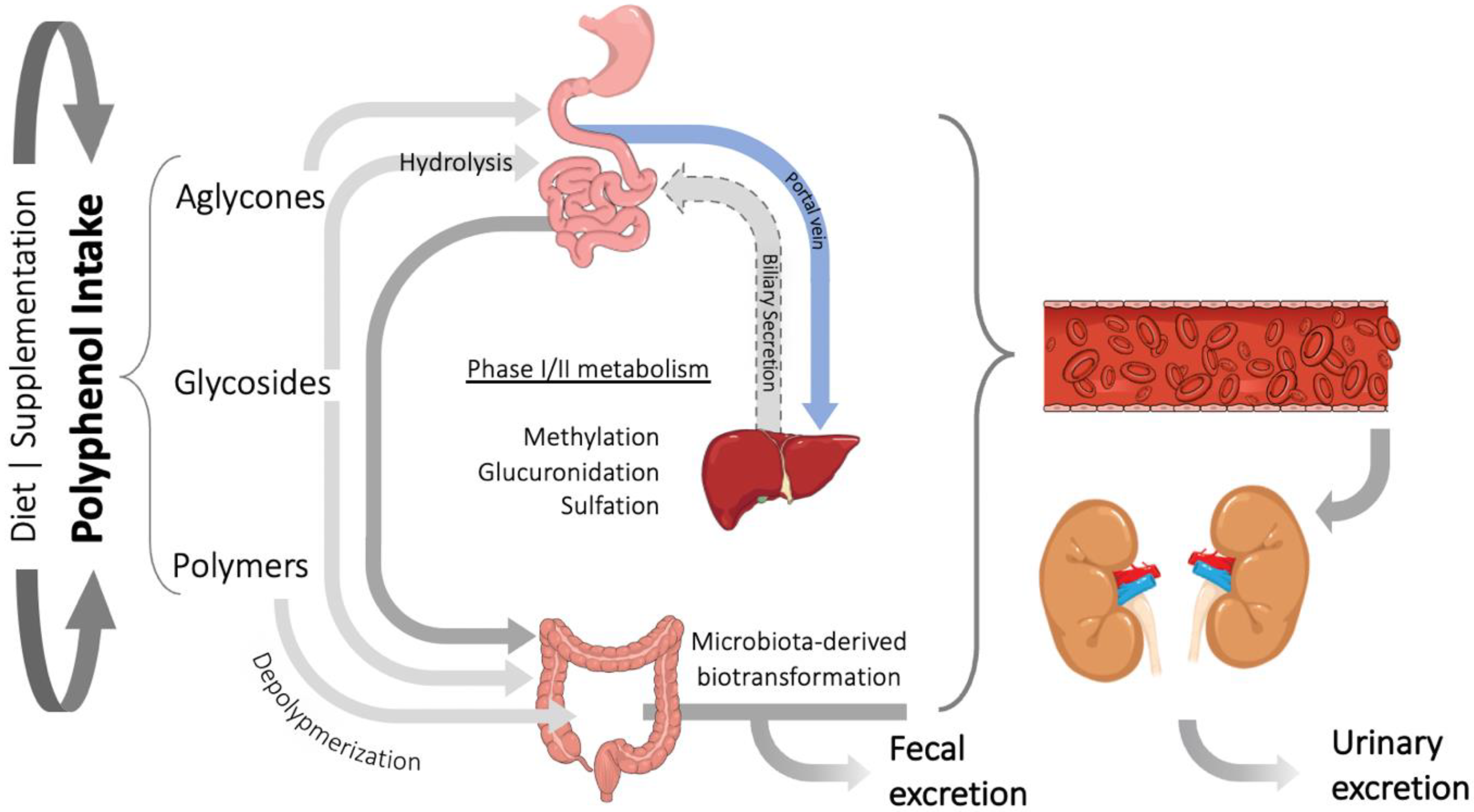 Foods 11 01060 g001 Foods 11 01060 g001