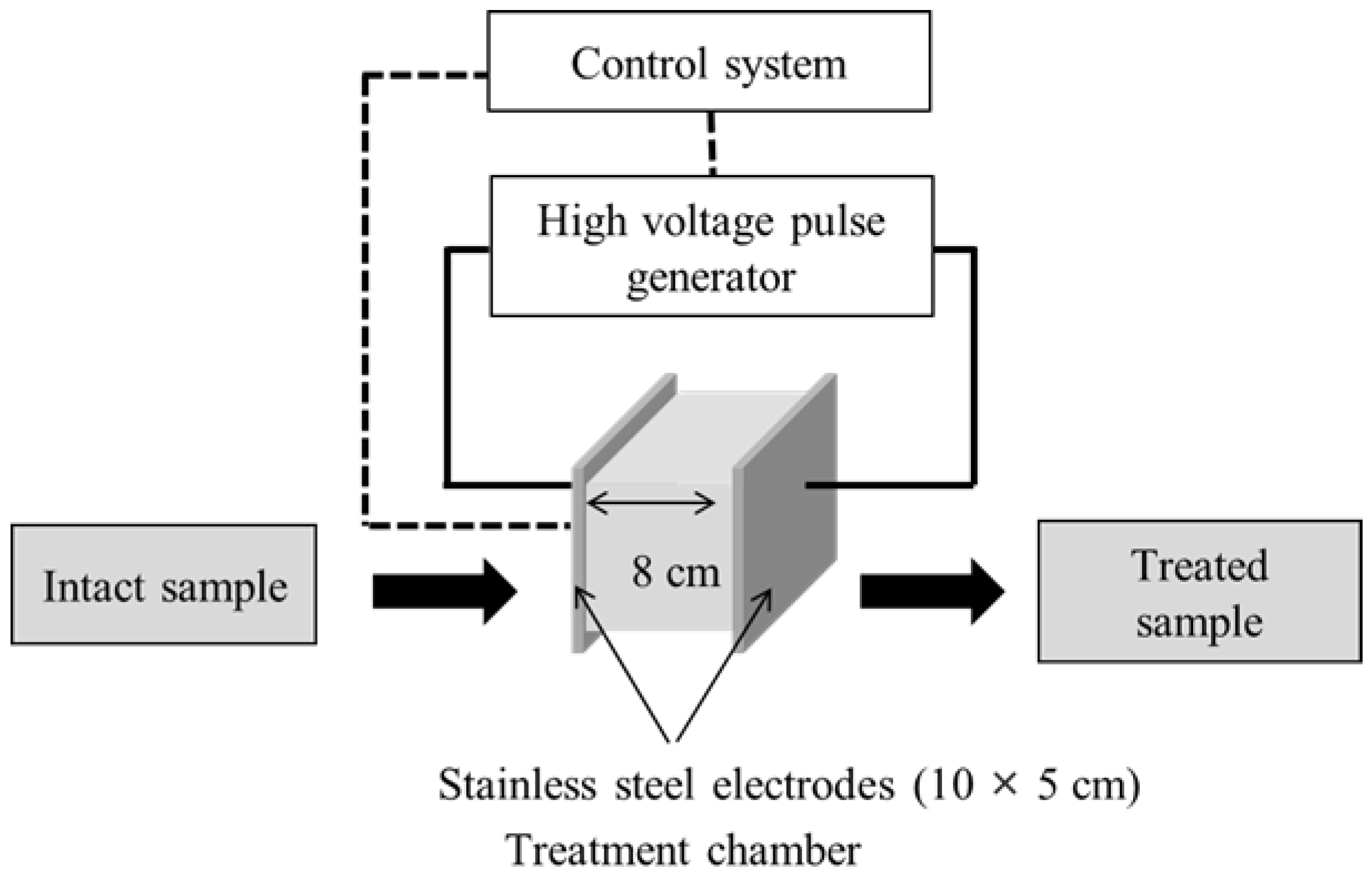 Onion Cell In Tap Water