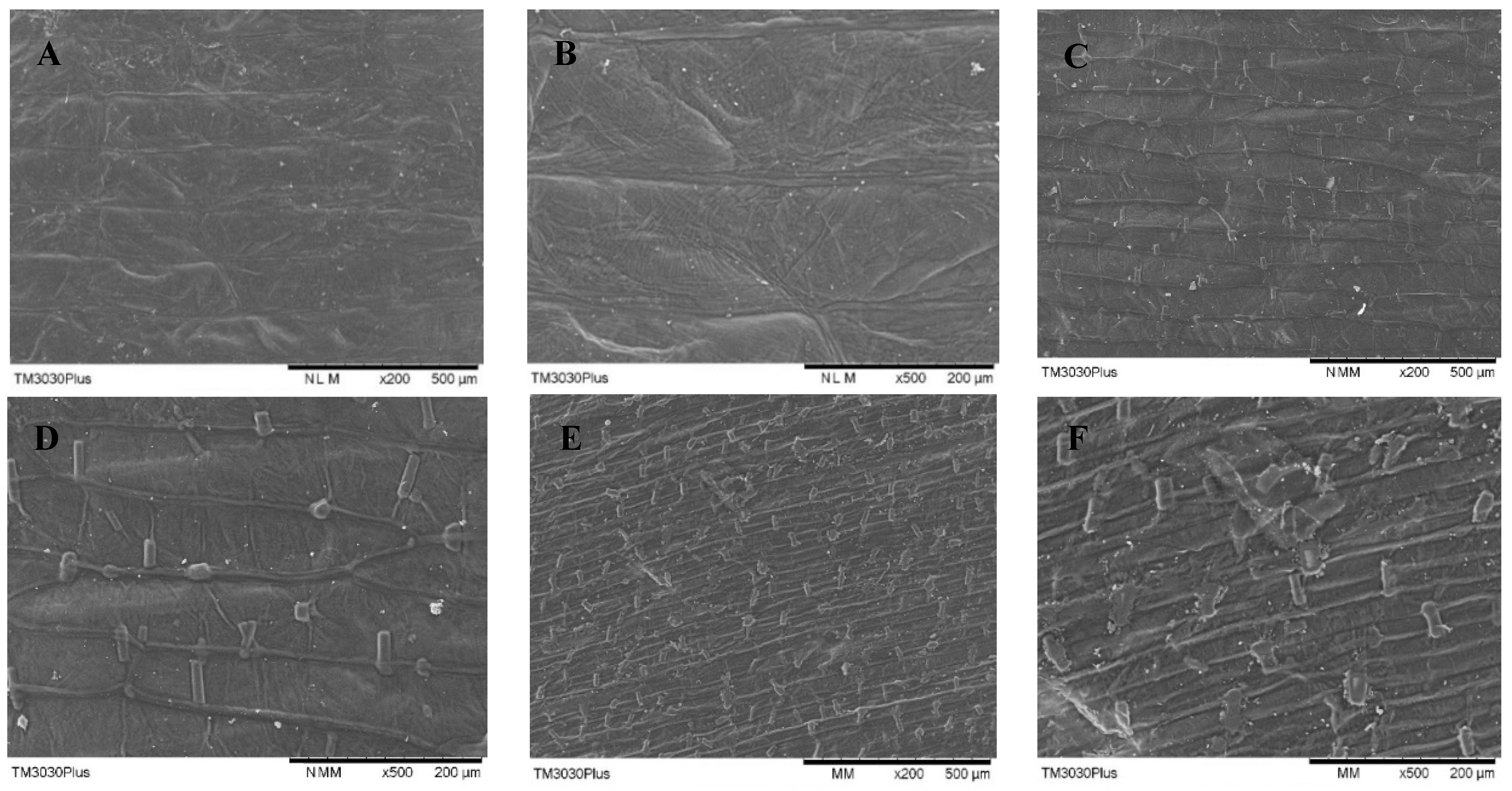 Foods 11 01069 g008 550
