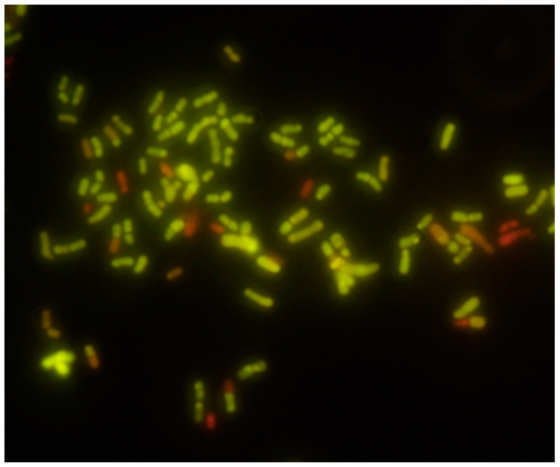 Foods 11 01077 g001 550