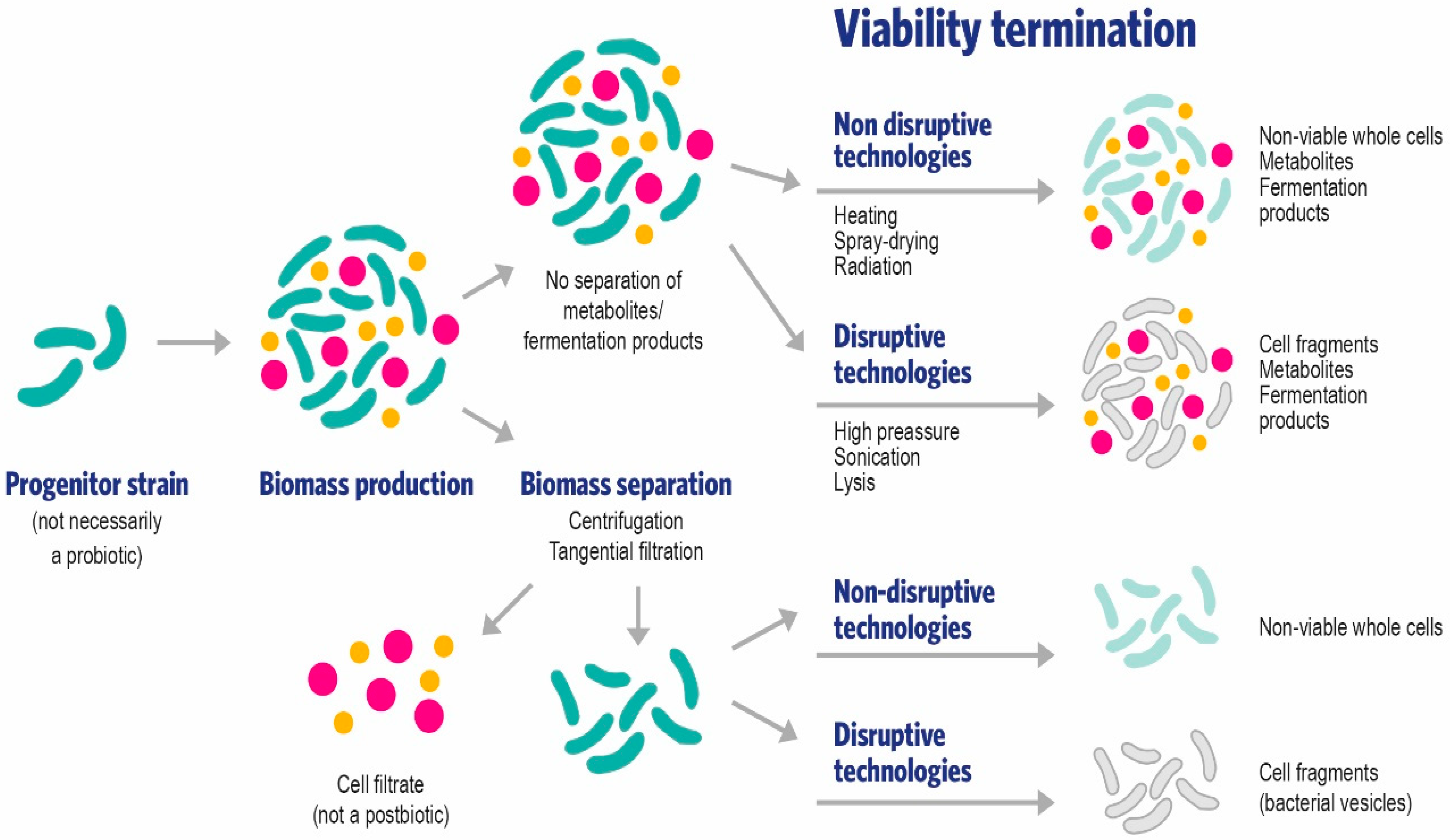 Foods 11 01077 g002 550