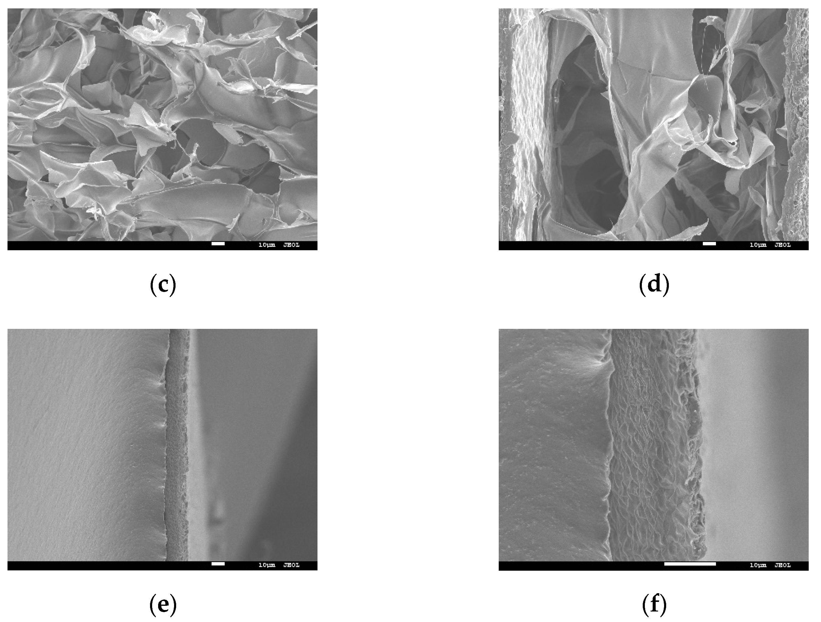 Foods 11 01078 g002b 550