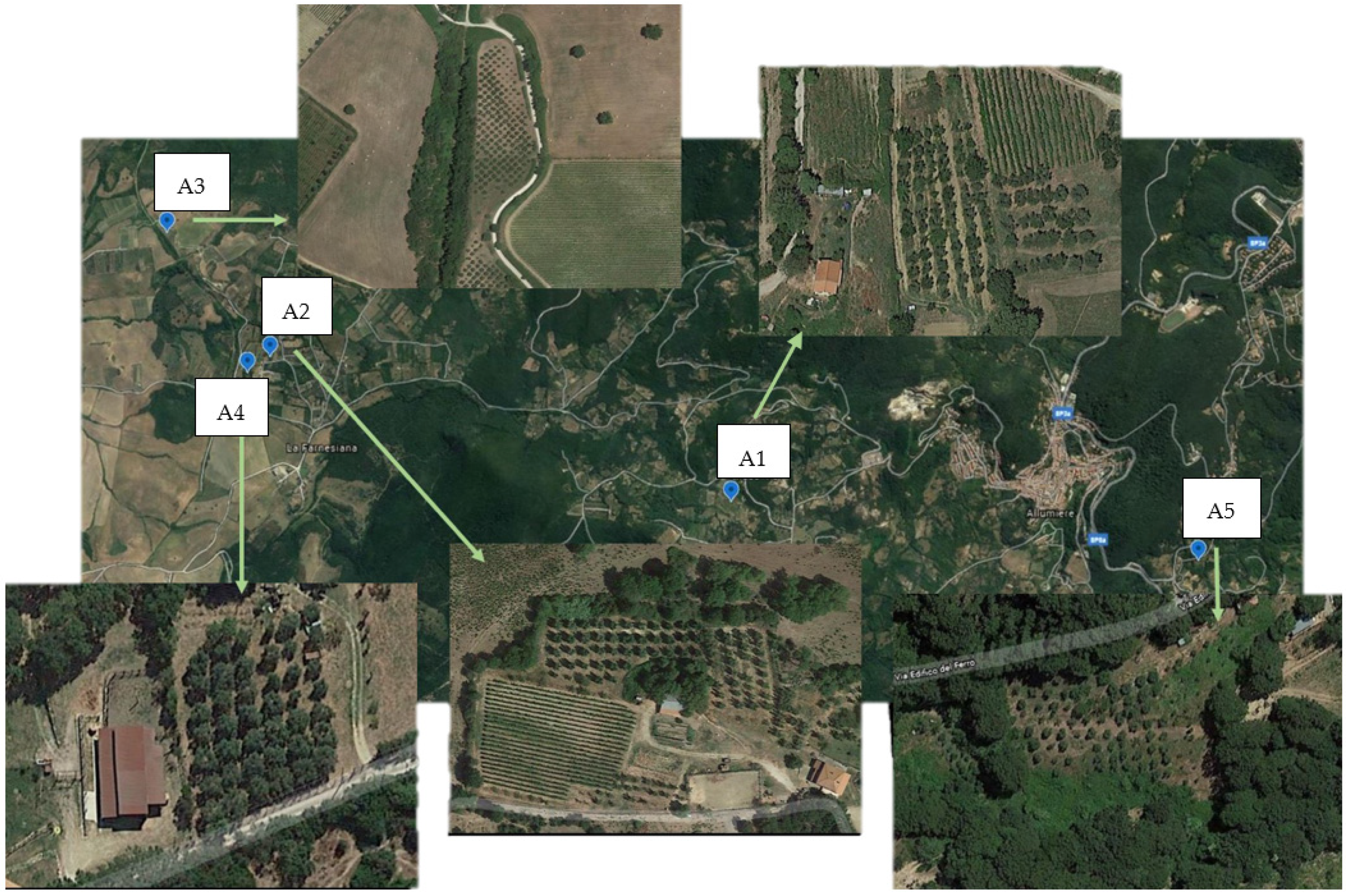 Foods 11 01085 g001 Foods 11 01085 g001