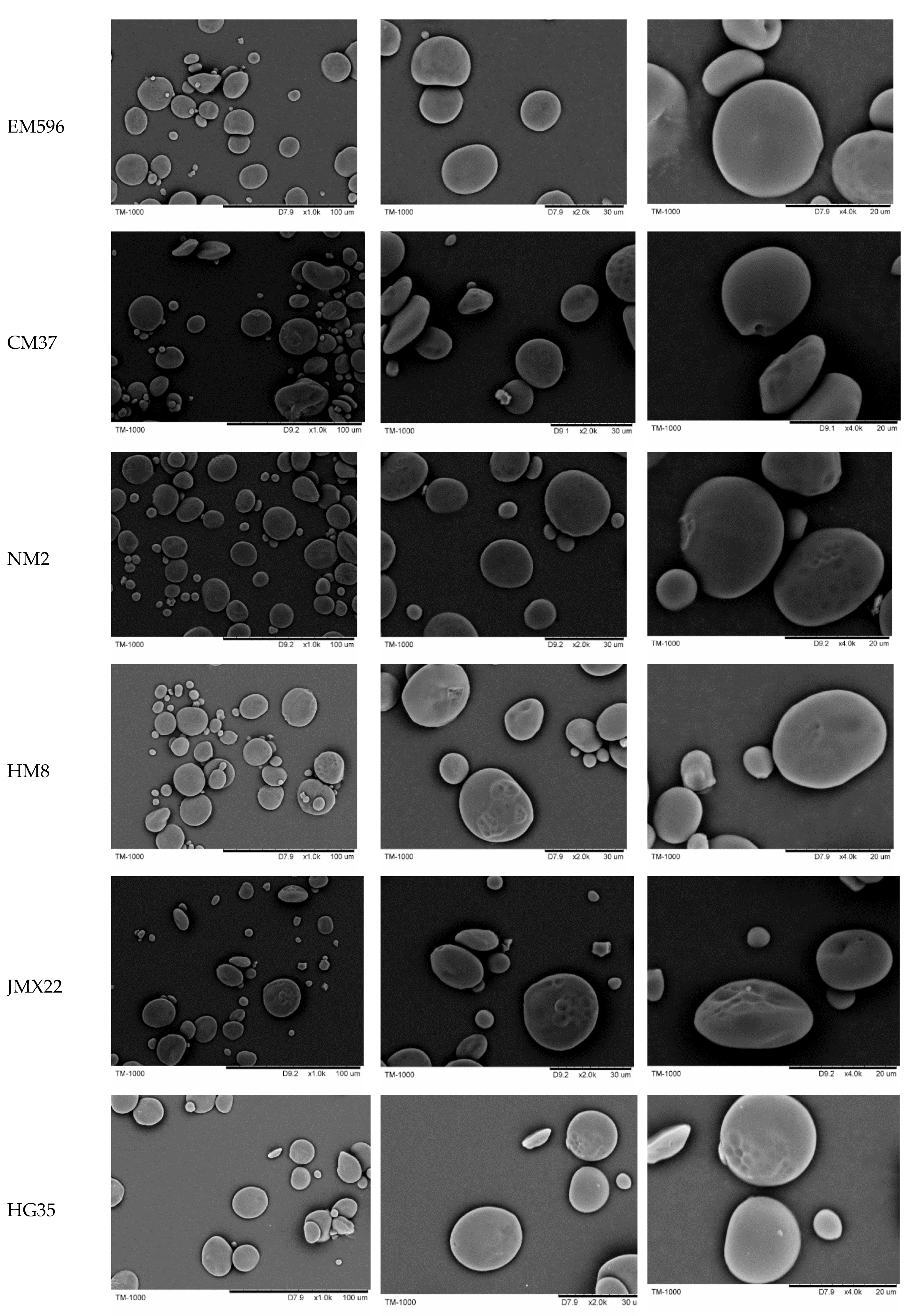Foods 11 01087 g001b 550