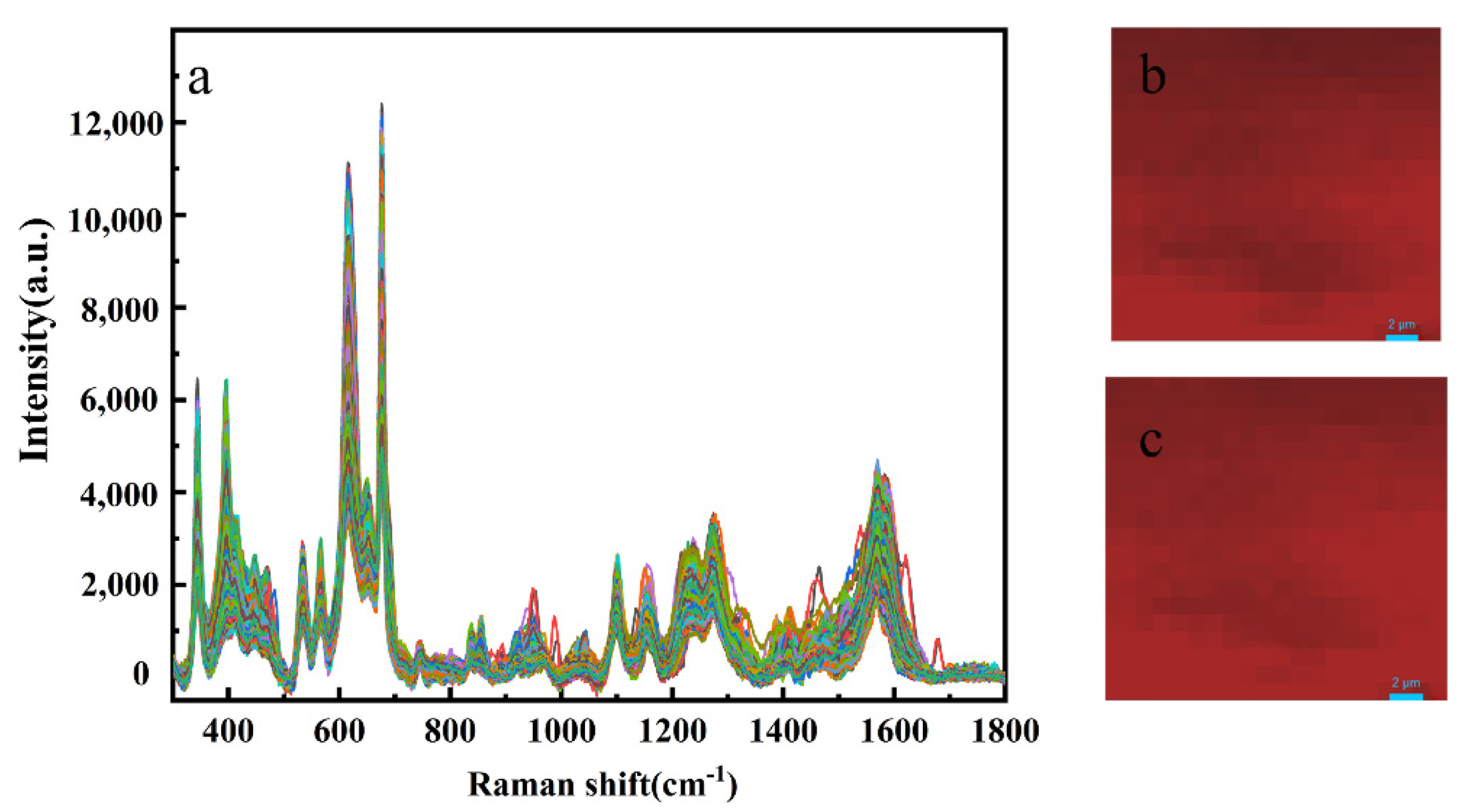 Foods 11 01089 g011 550