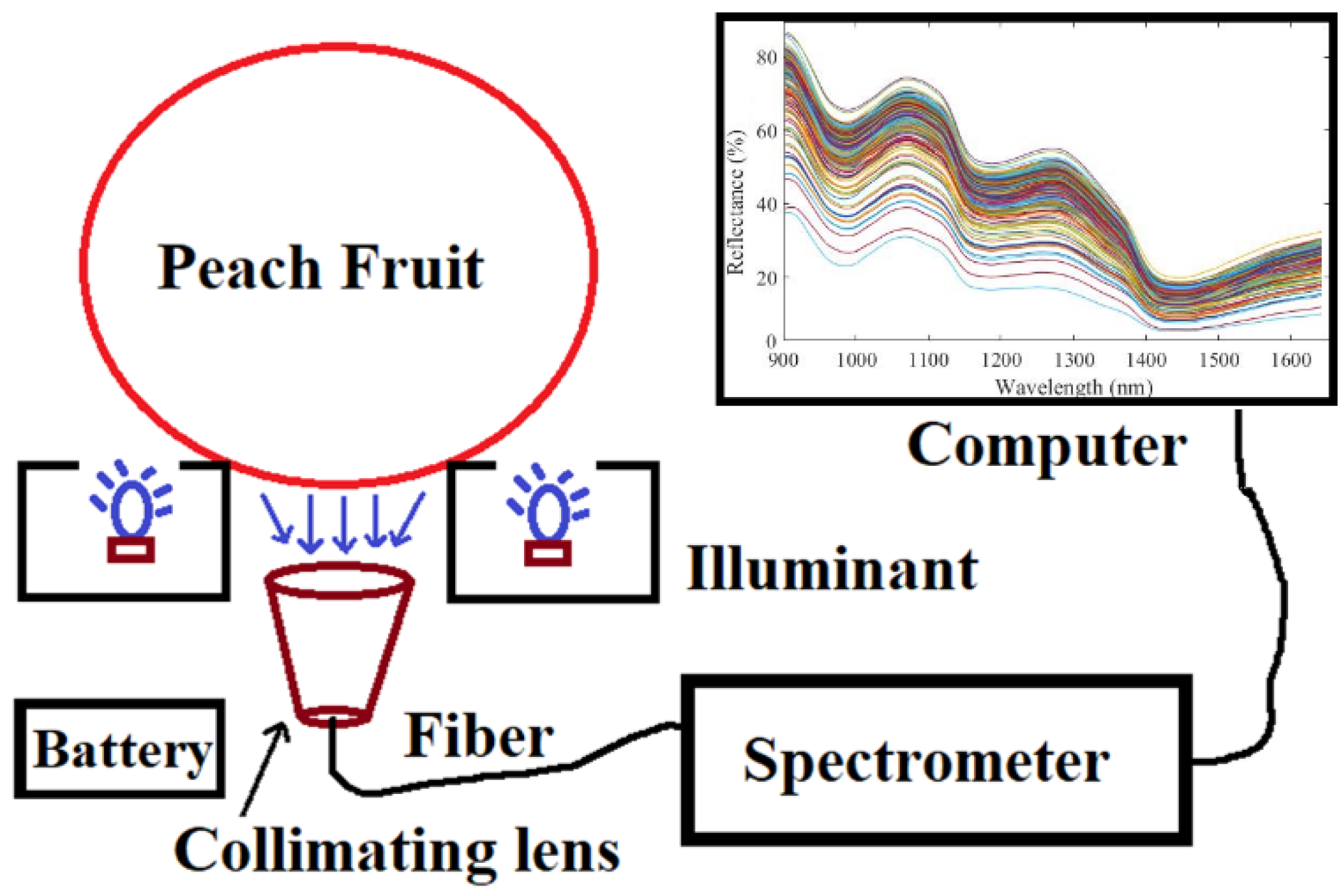 Foods 11 01095 g001 550