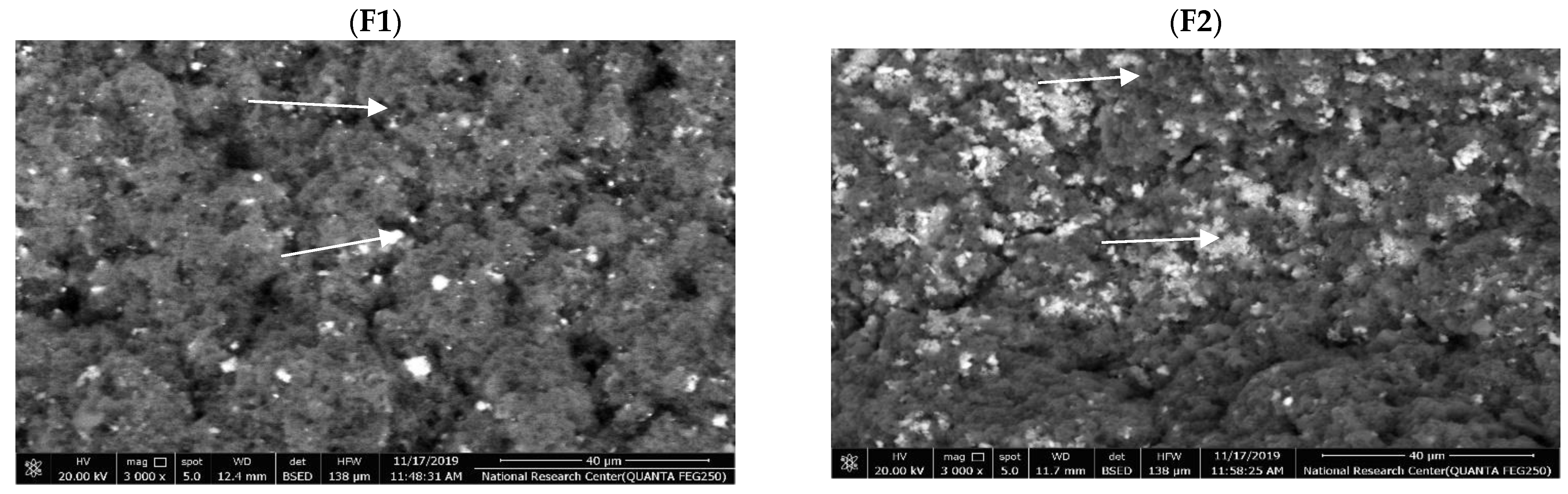 Foods 11 01099 g003a