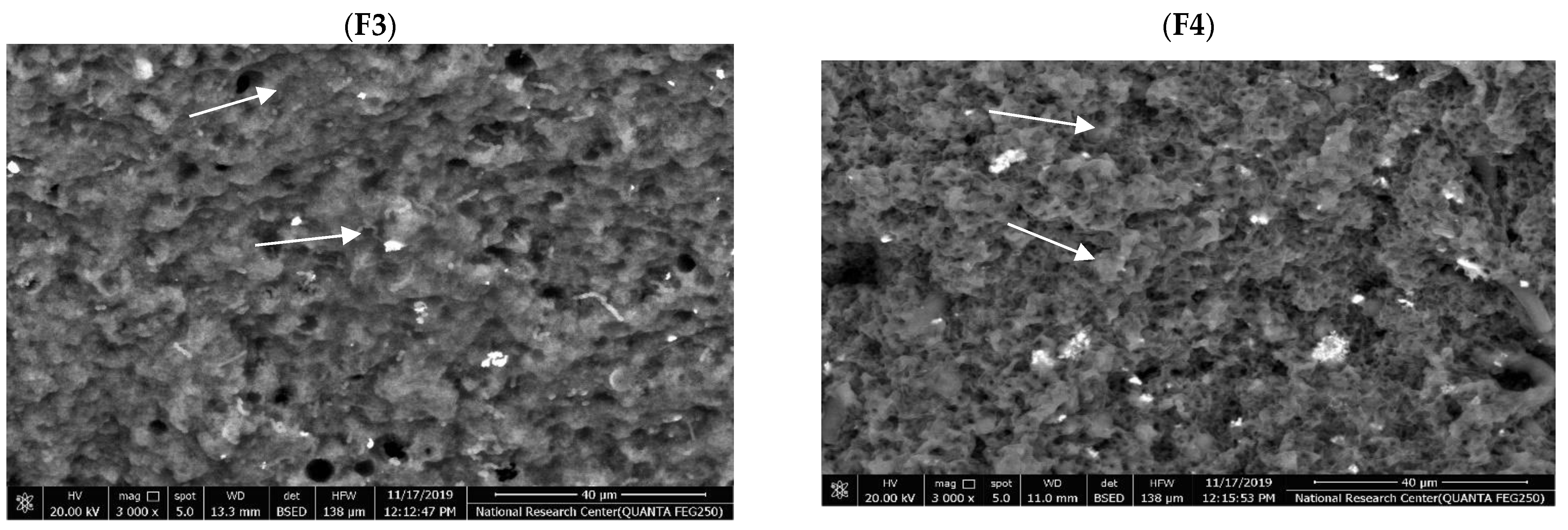 Foods 11 01099 g003b