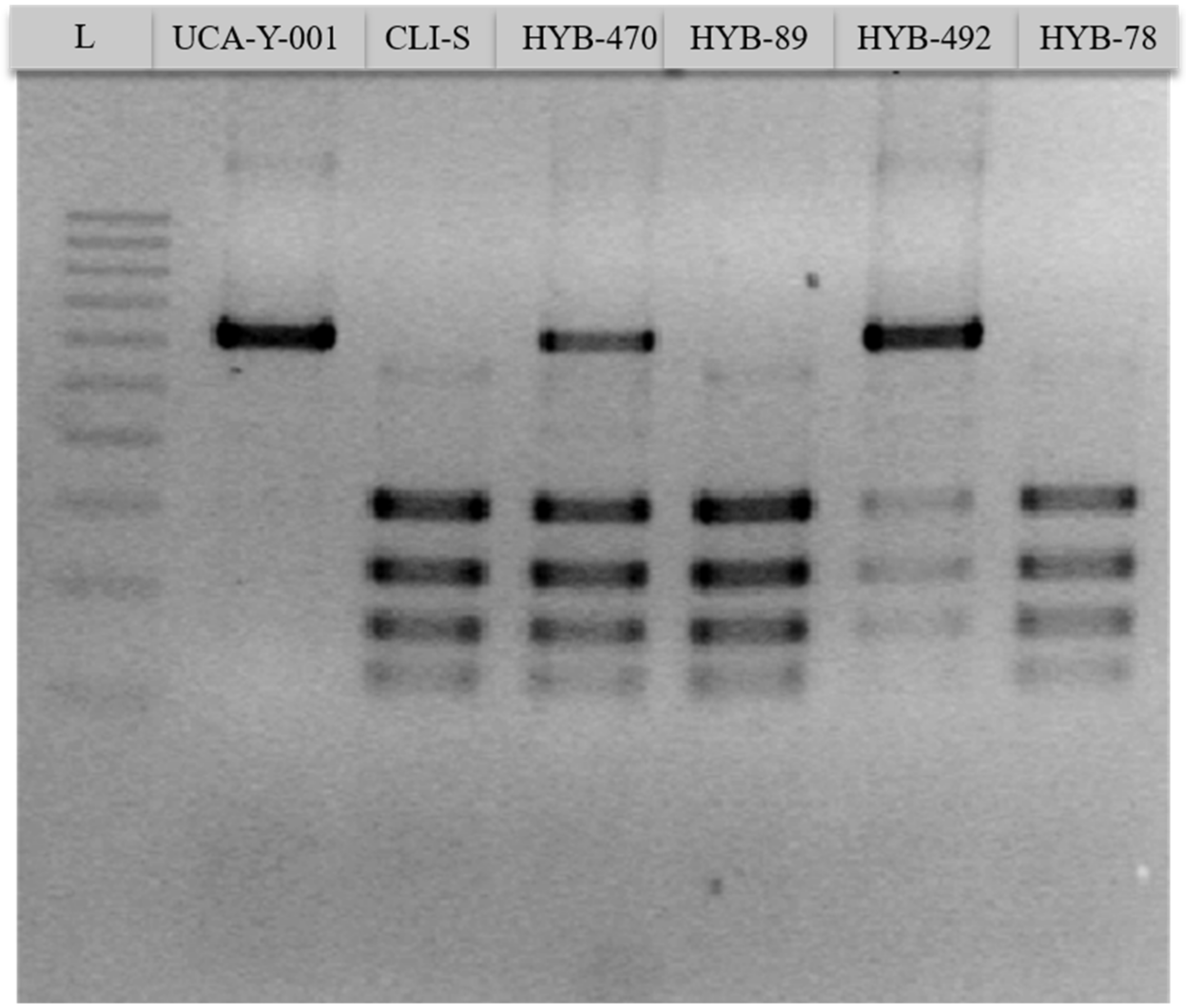 Foods 11 01104 g001 550