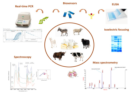 Animal Species Authentication in Dairy Products