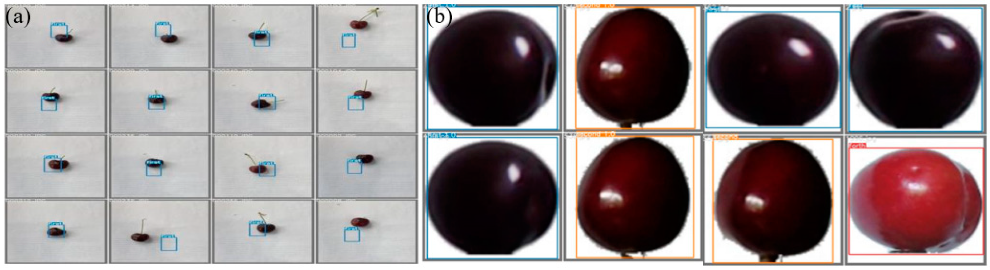 Foods 11 01127 g006 550