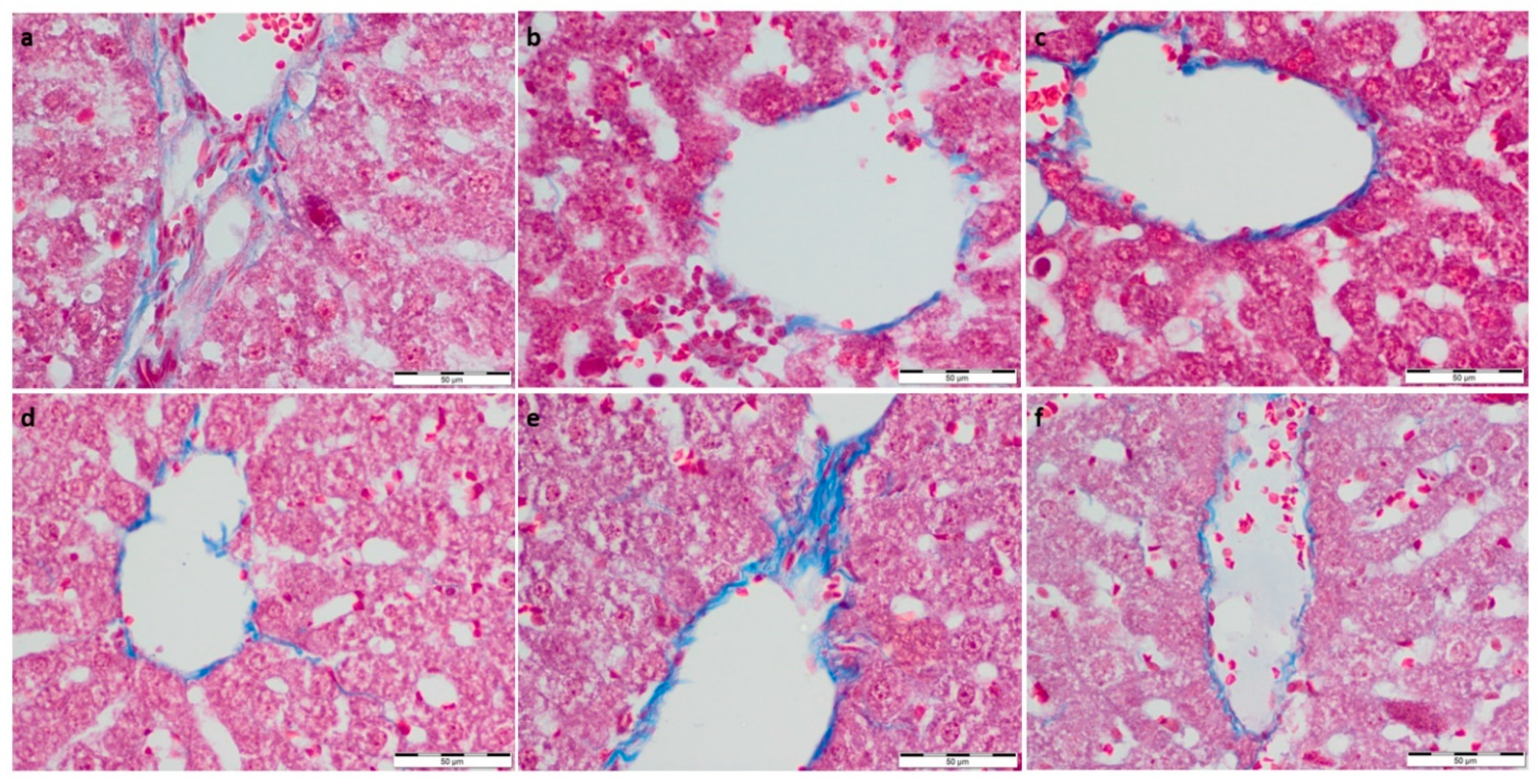 Foods 11 01131 g002 Foods 11 01131 g002