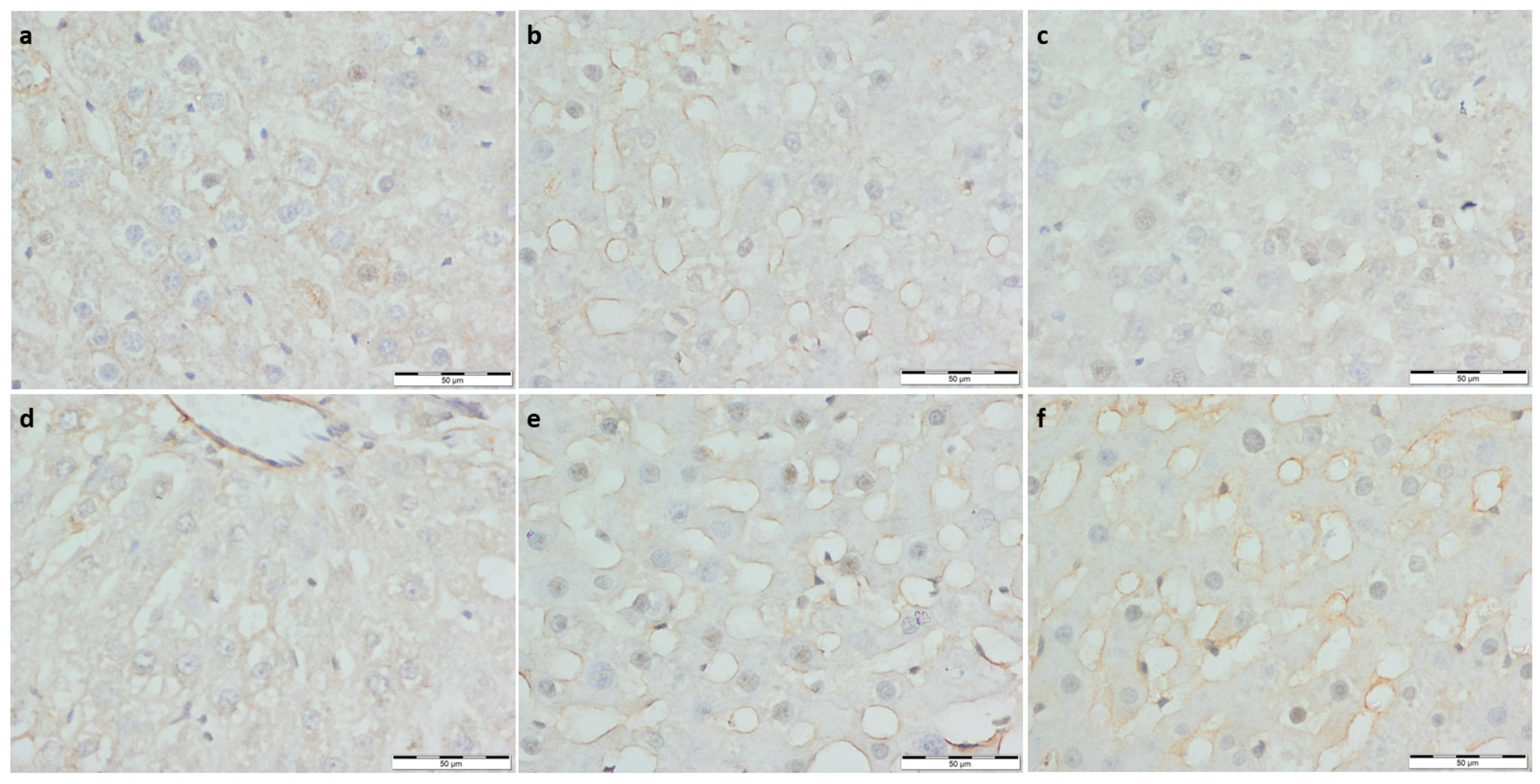 Foods 11 01131 g003 Foods 11 01131 g003