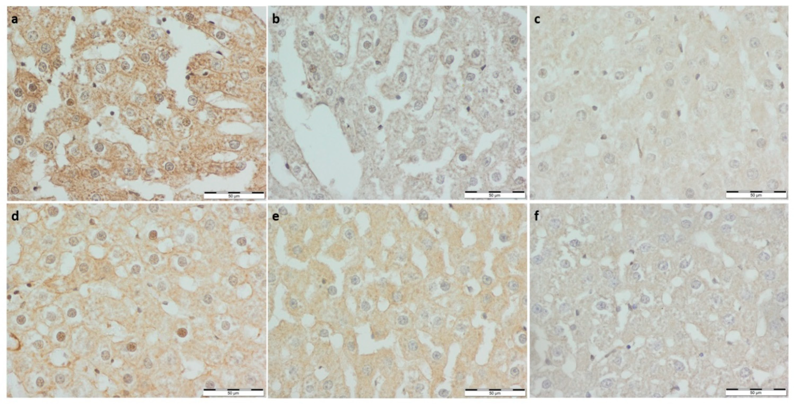 Foods 11 01131 g004 Foods 11 01131 g004