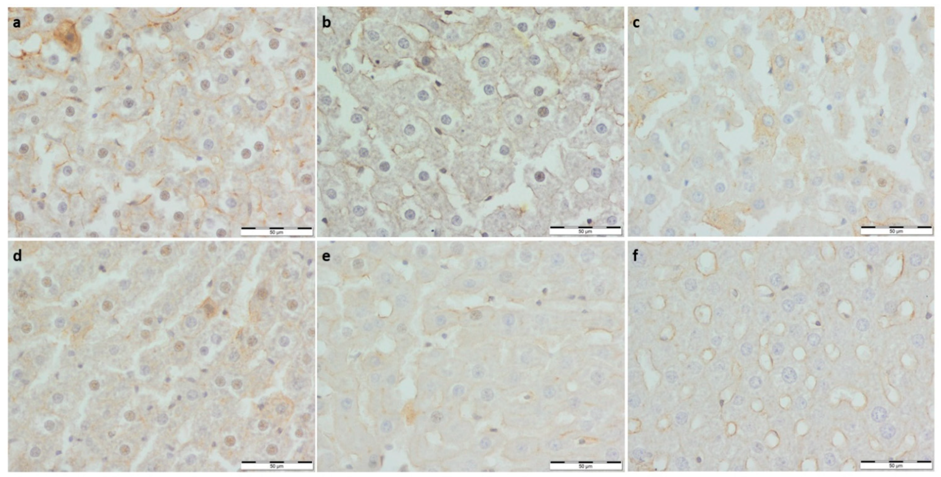 Foods 11 01131 g005 Foods 11 01131 g005