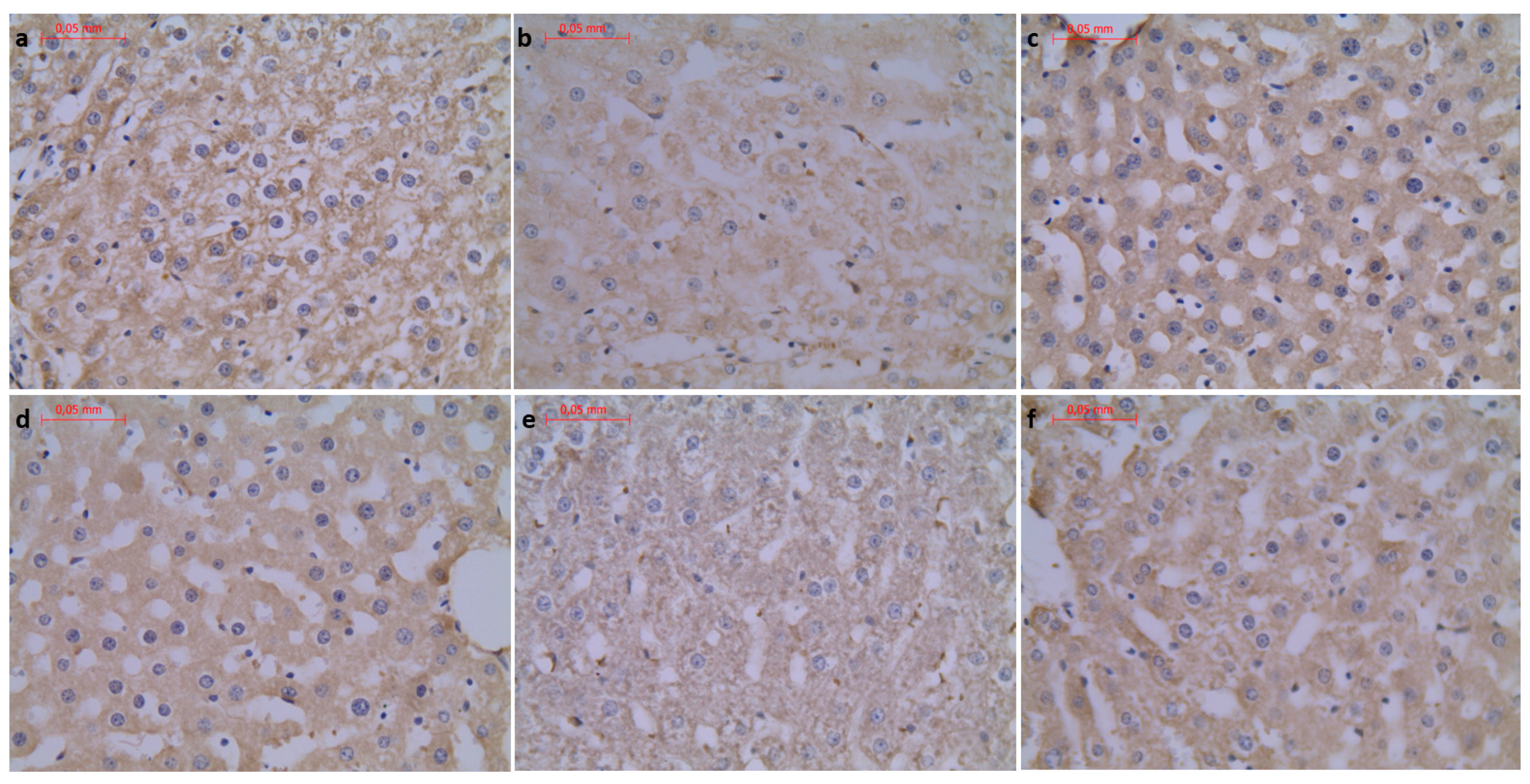 Foods 11 01131 g006 Foods 11 01131 g006