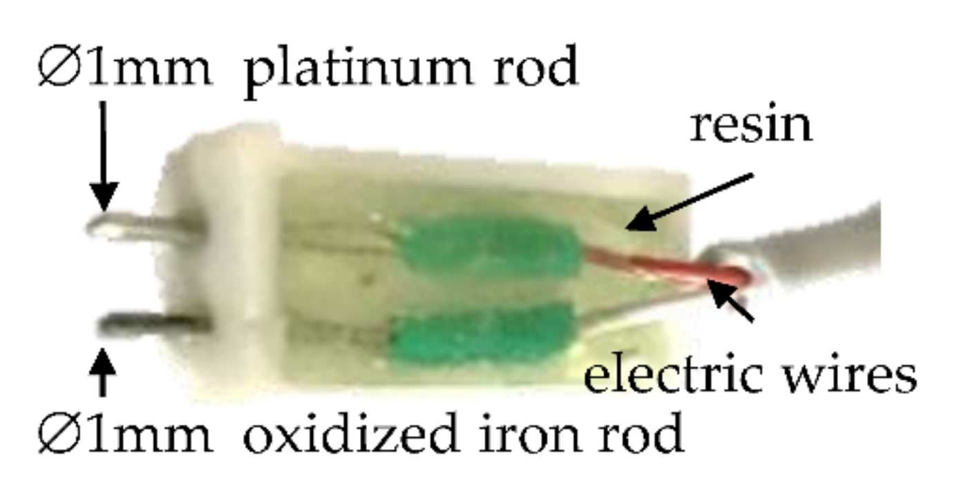Foods 11 01139 g001 550