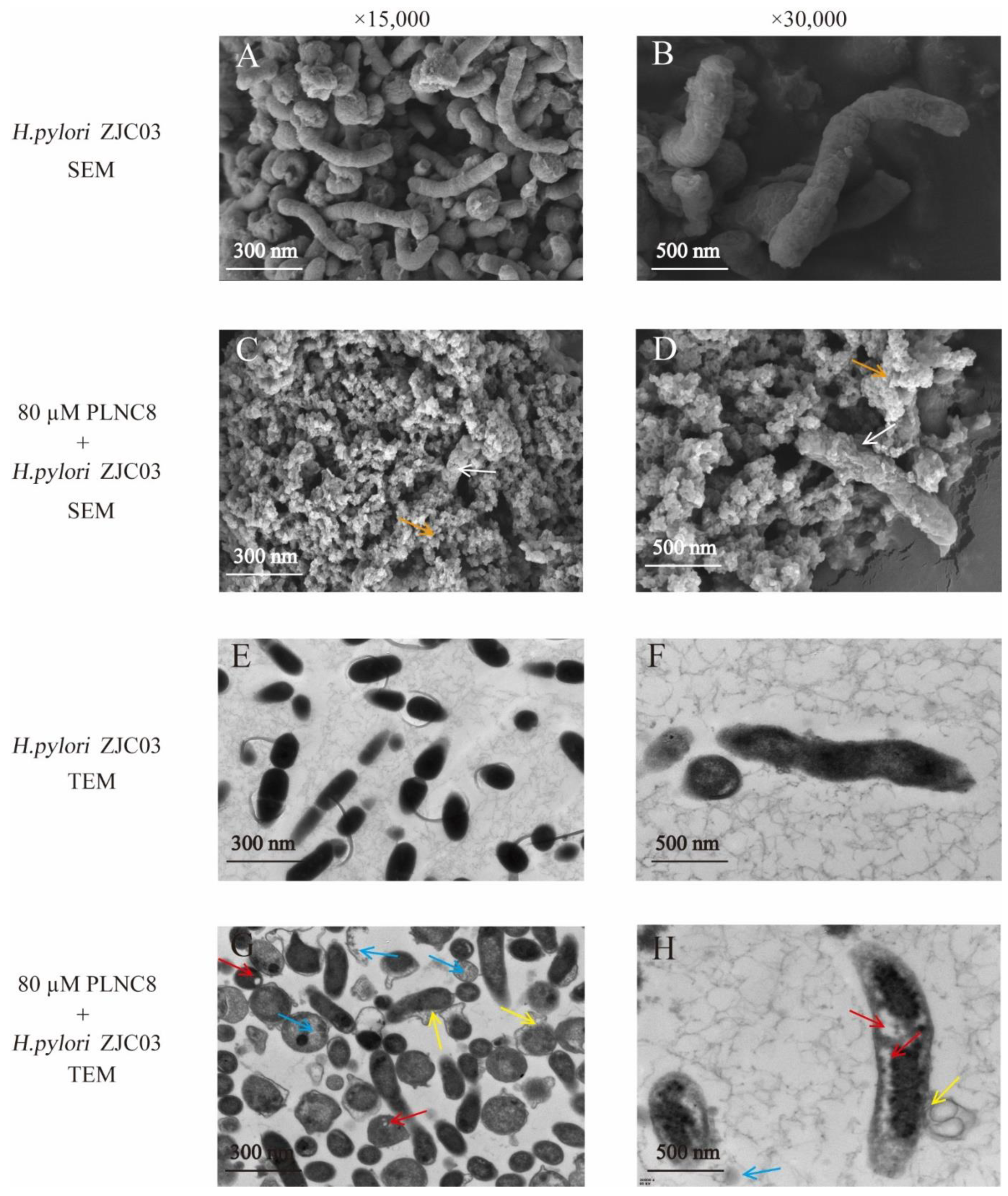 Foods 11 01235 g004 Foods 11 01235 g004