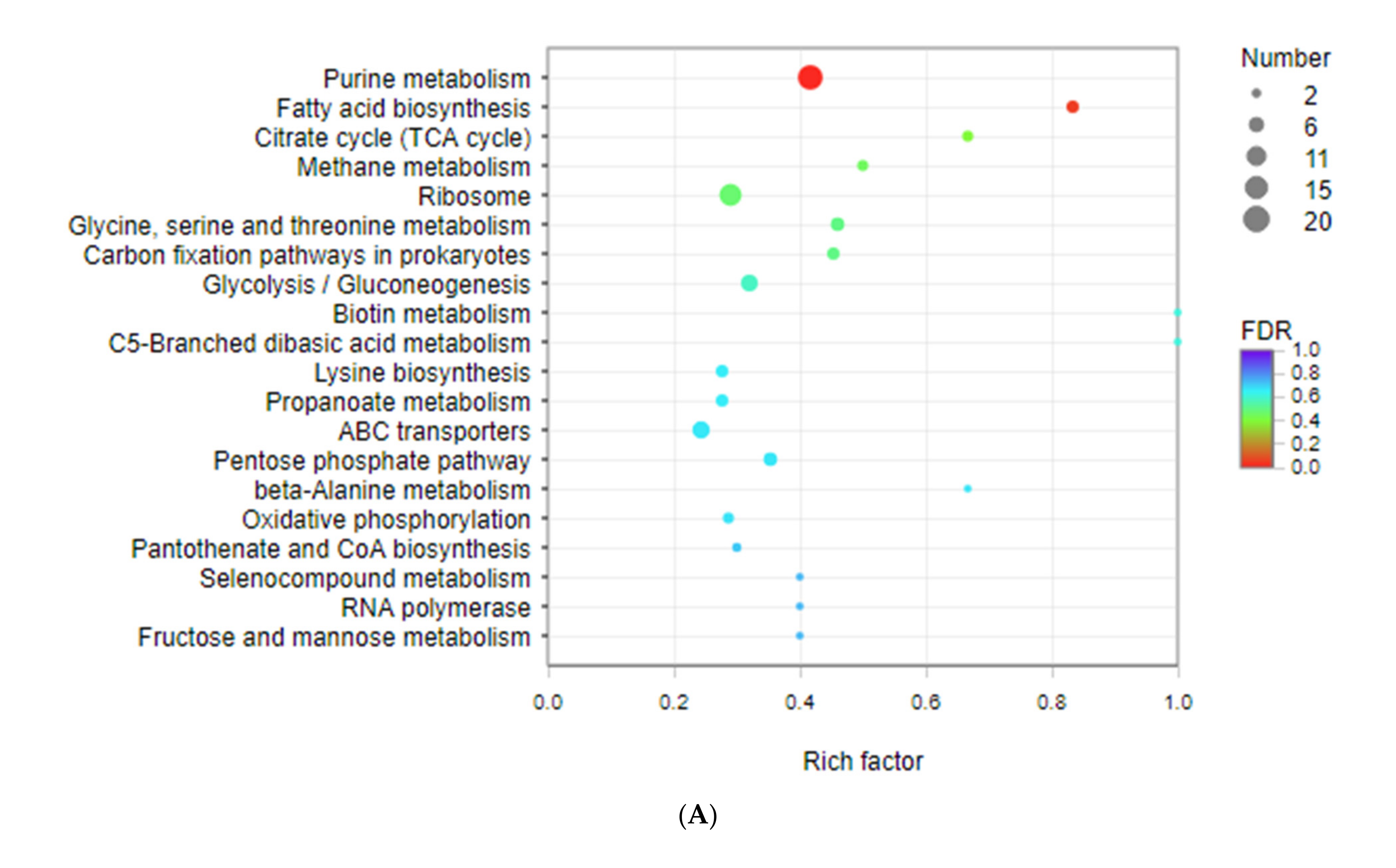 Foods 11 01251 g004a Foods 11 01251 g004a