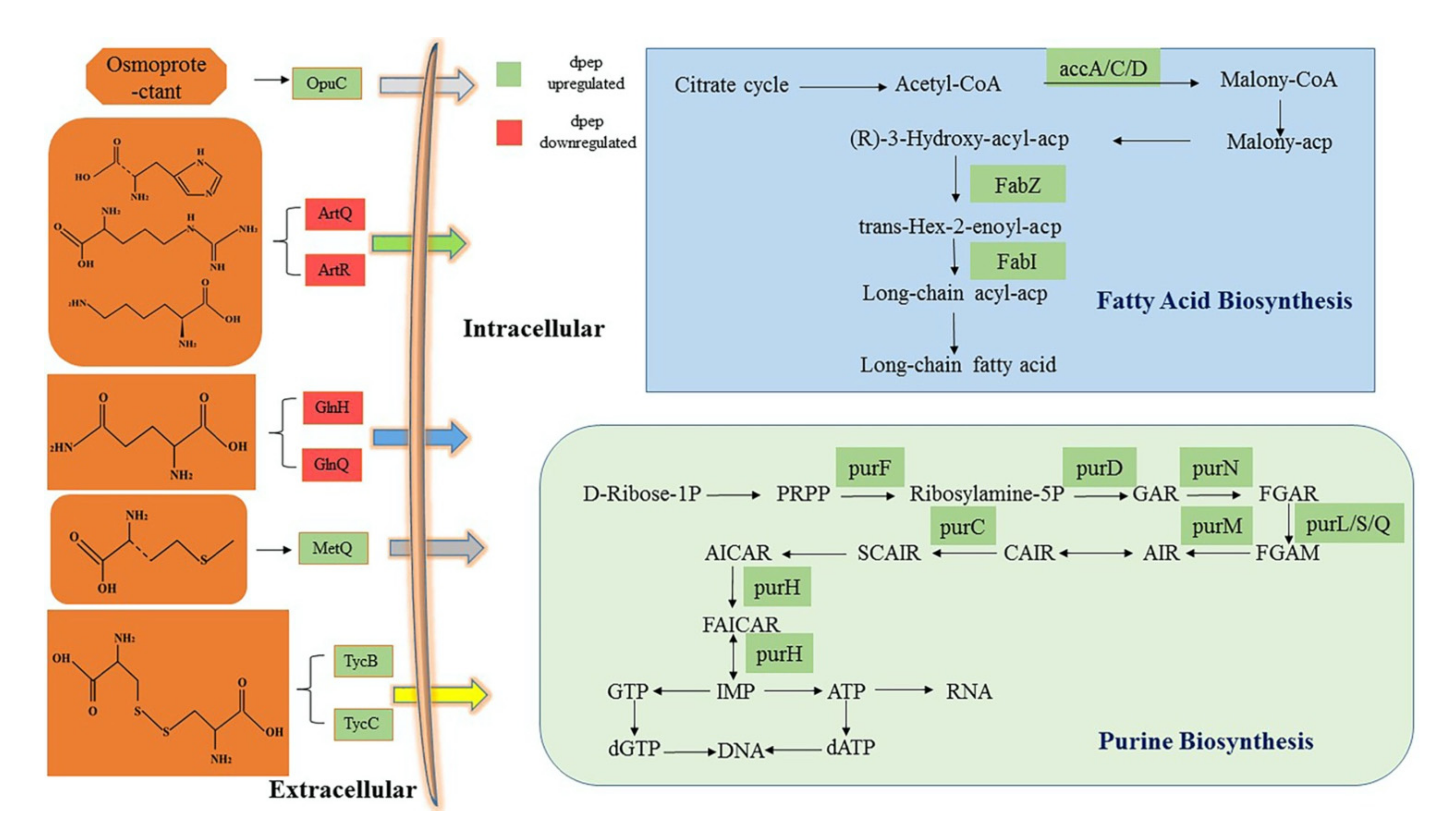 Foods 11 01251 g005 Foods 11 01251 g005