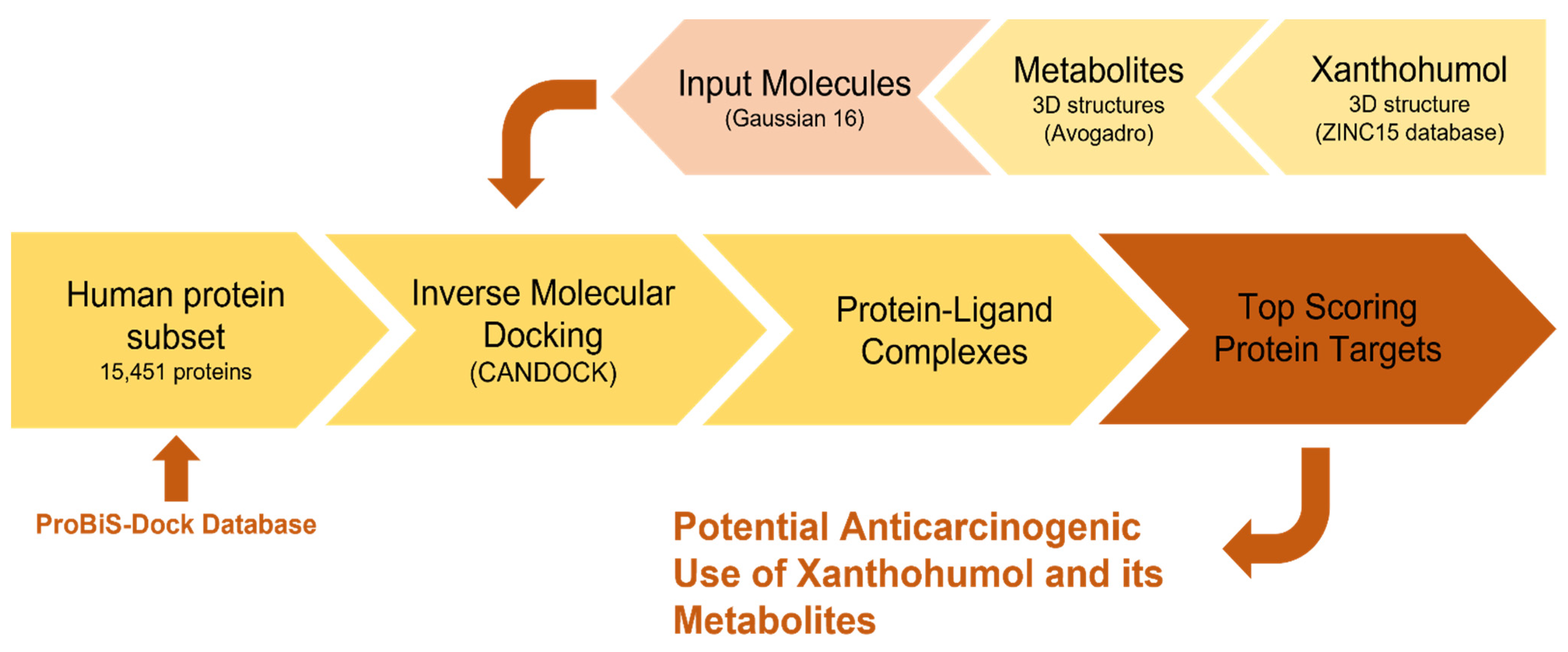 Foods 11 01253 g002 Foods 11 01253 g002